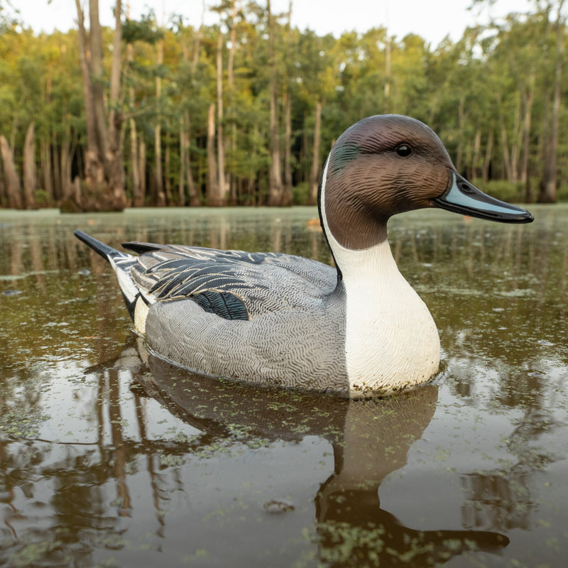 Pintail Floaters Floaters