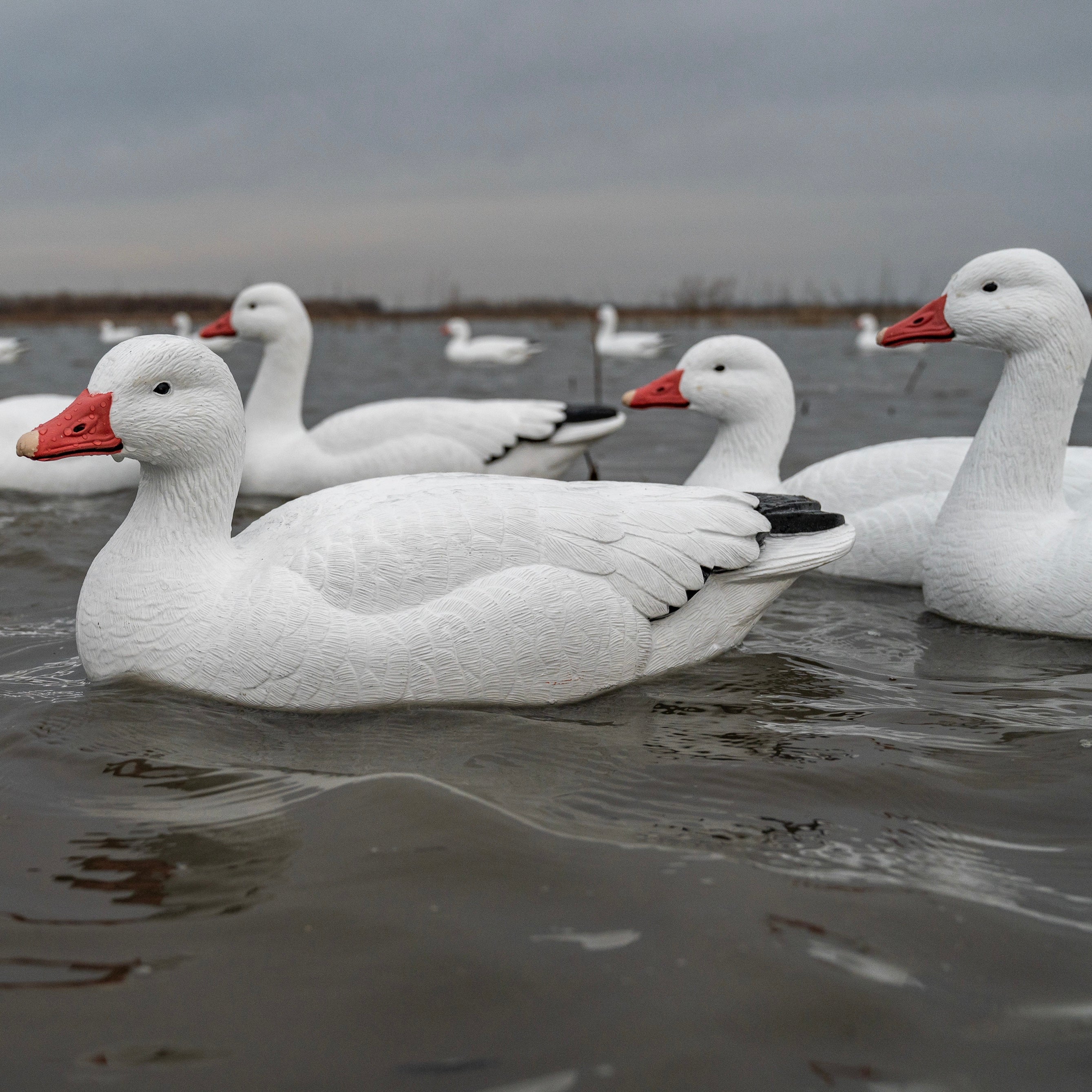 F1 Snow Goose Floaters - Snow Goose Decoys | Dive Bomb Industries