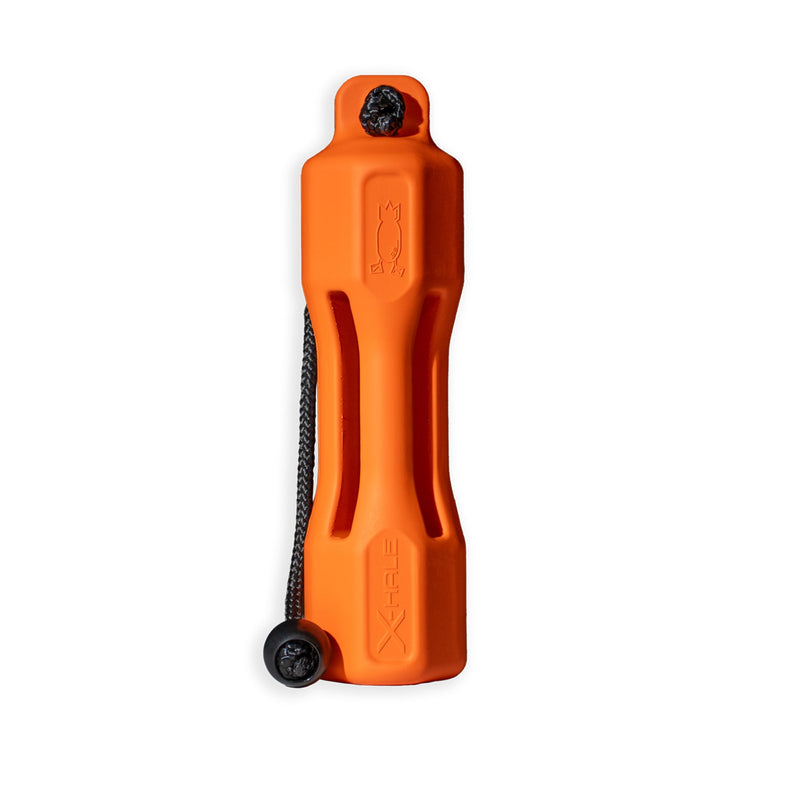 X-Hale Dog Bumpers Orange