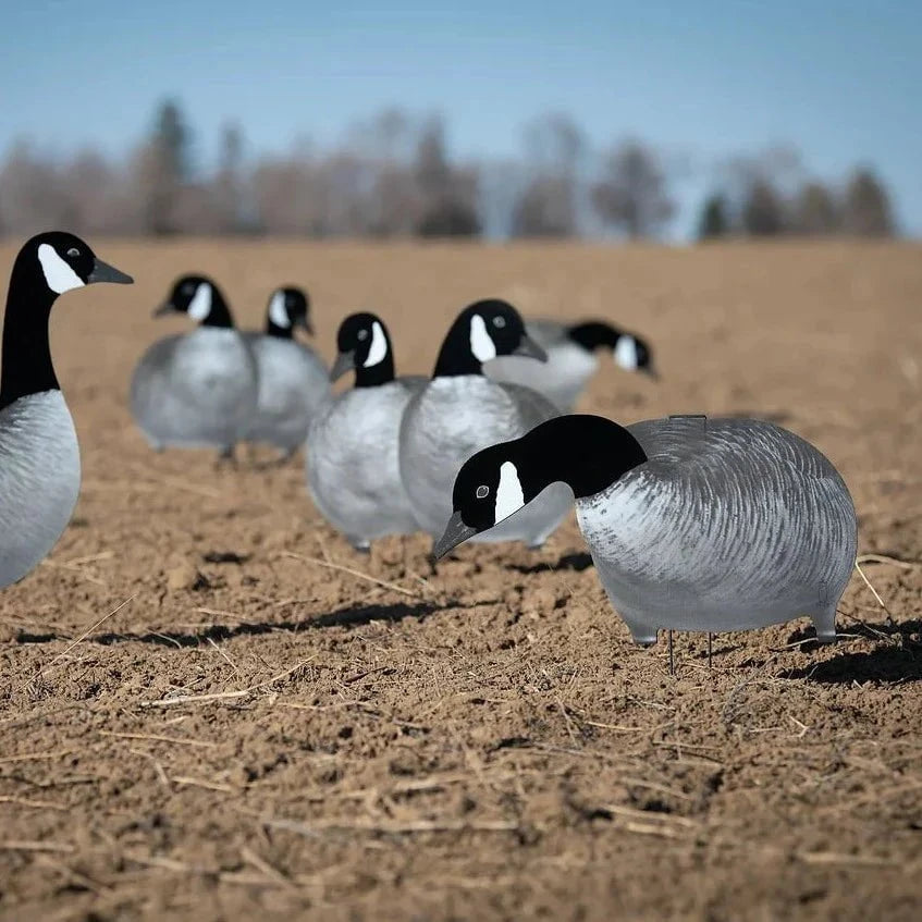 2025 DBxDU Canada Goose Package