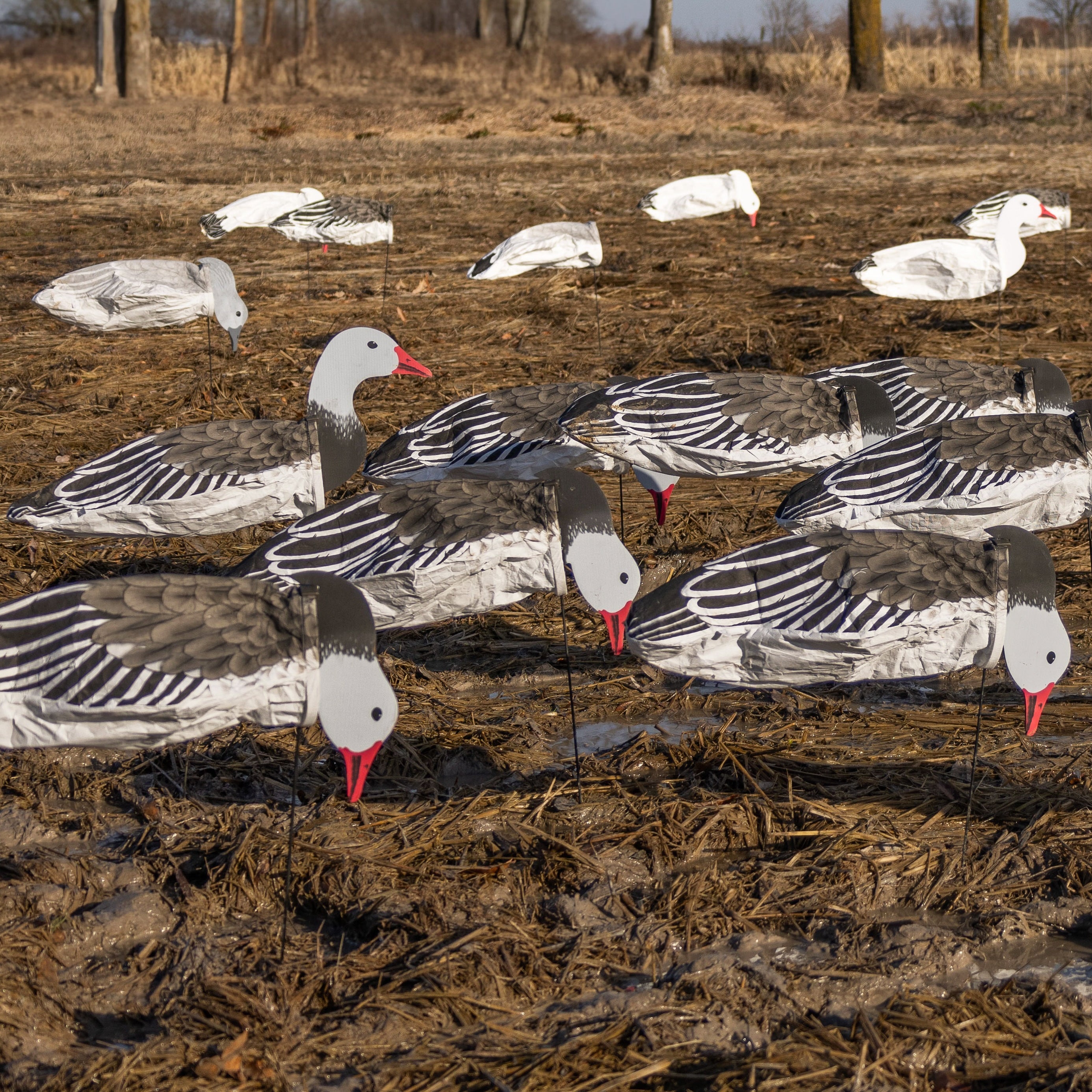 S3i Blue Goose Socks Decoys Dive Bomb Industries
