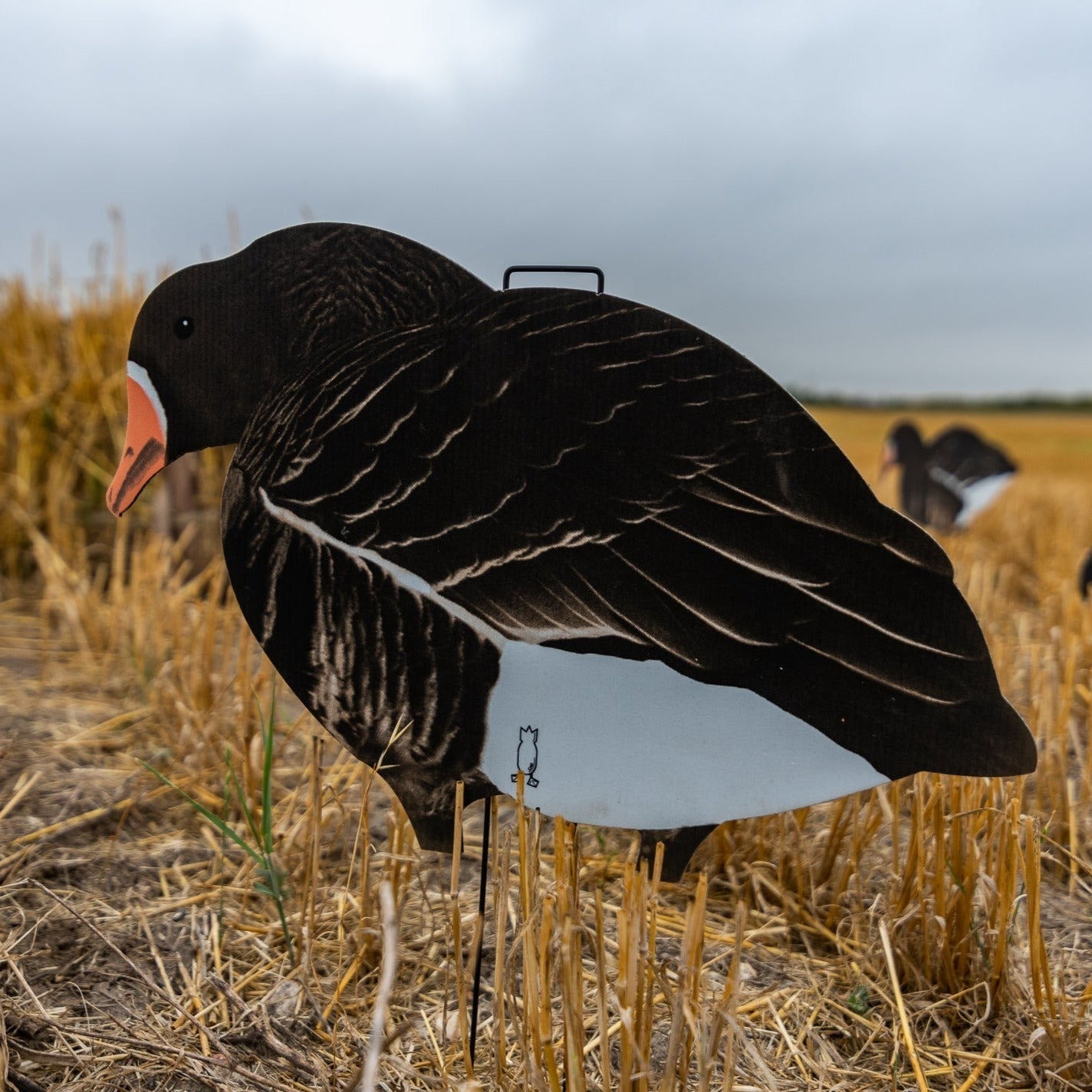 Fully Flocked Specklebelly Goose Silhouettes silhouettes