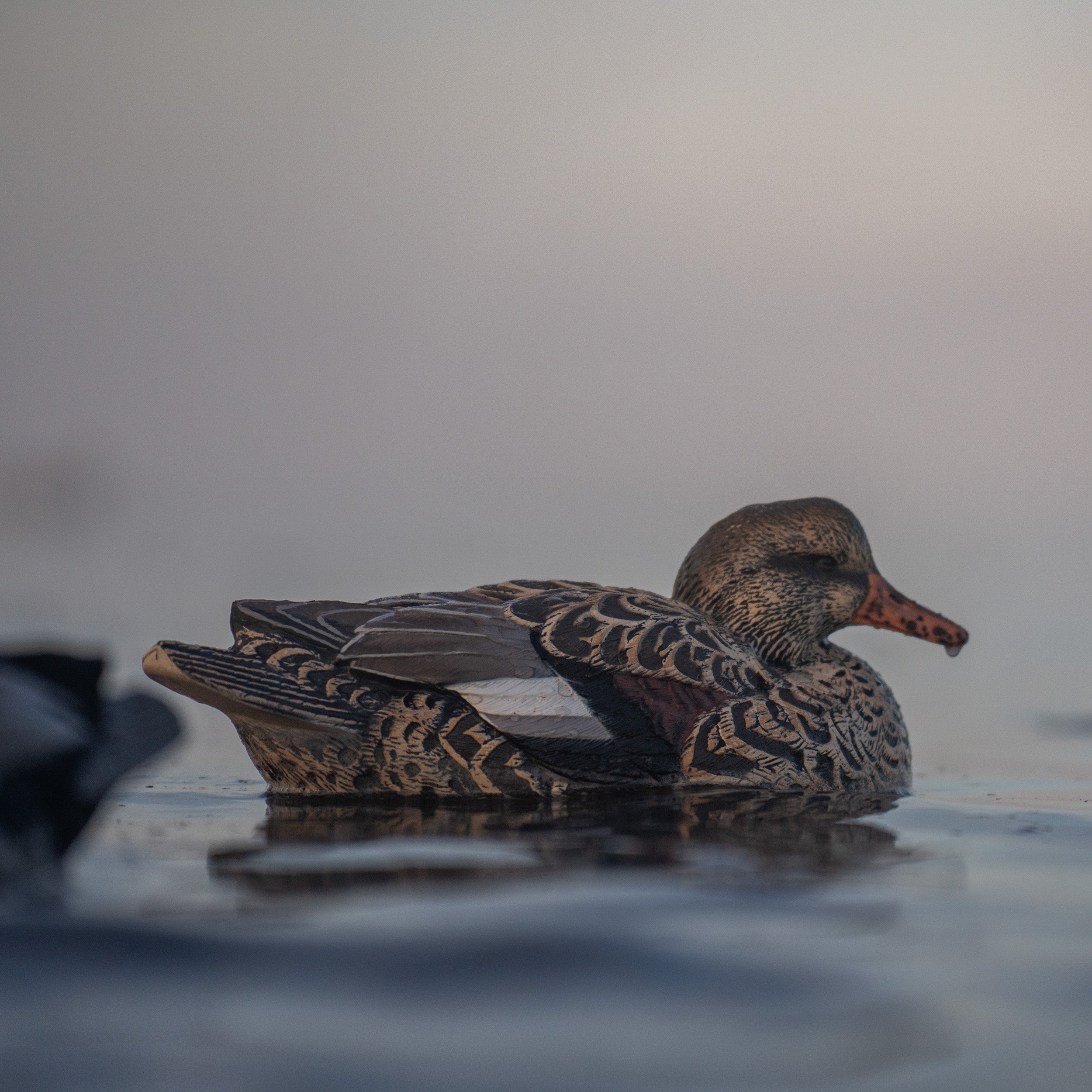 Gadwall Floaters 6 pack