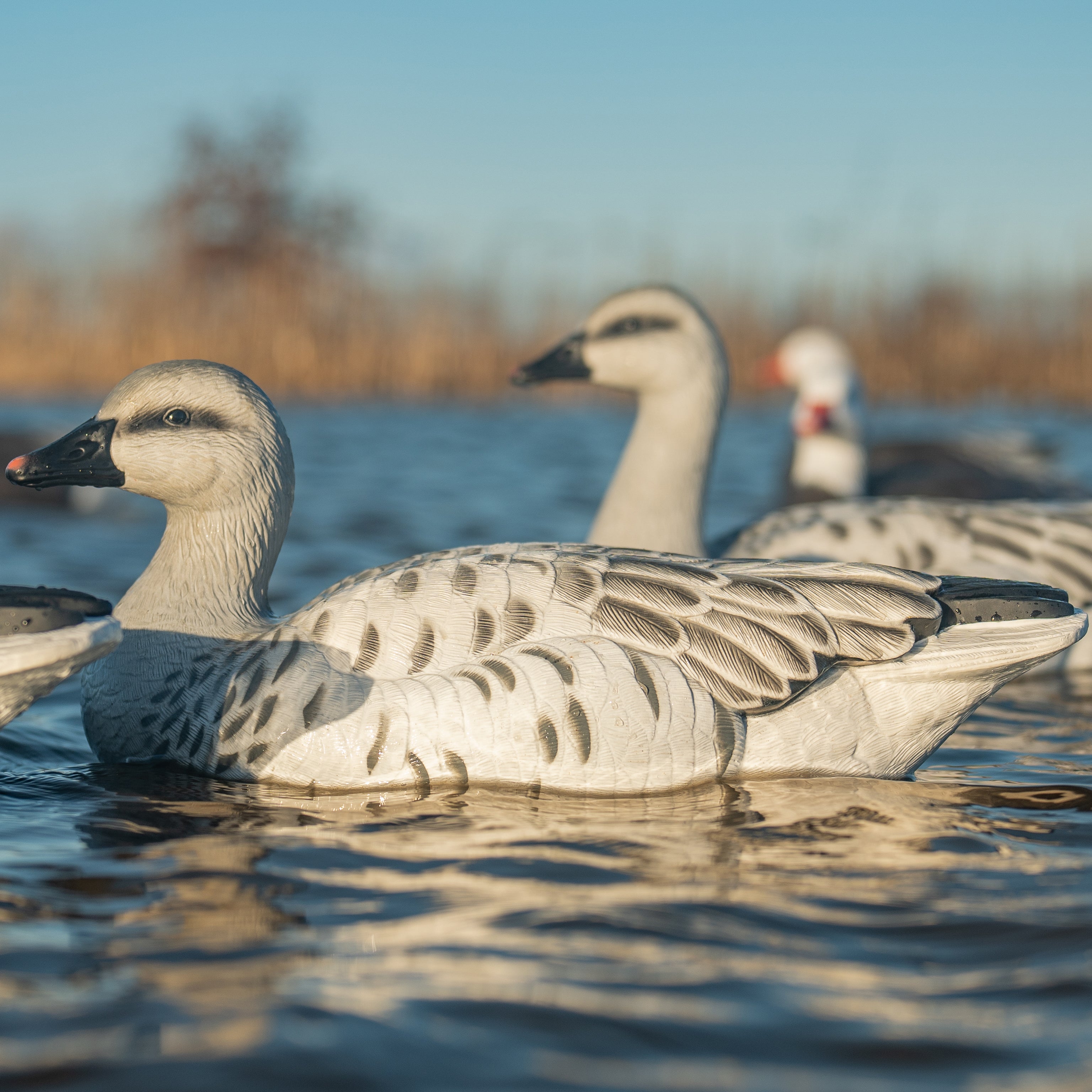 Juvie Goose Floaters
