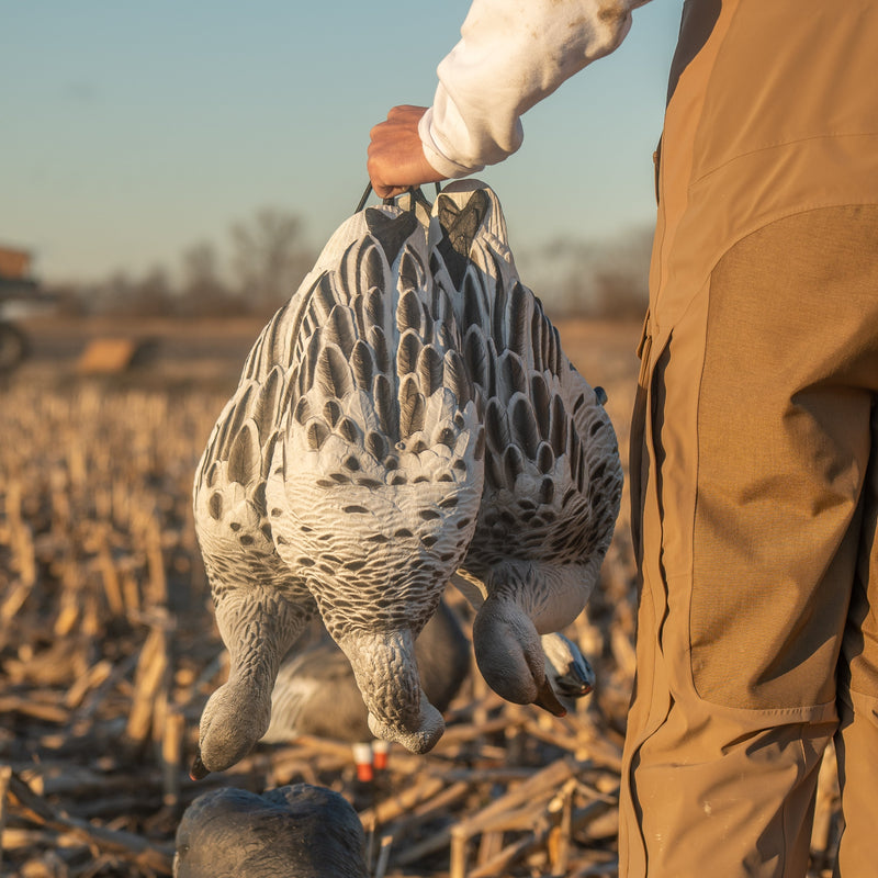 Juvie Goose Full Bodies