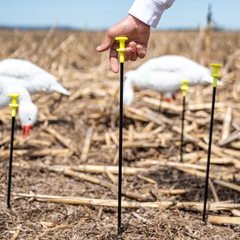 Juvie Goose Full Bodies