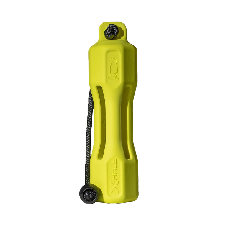 X-Hale Dog Bumpers Yellow