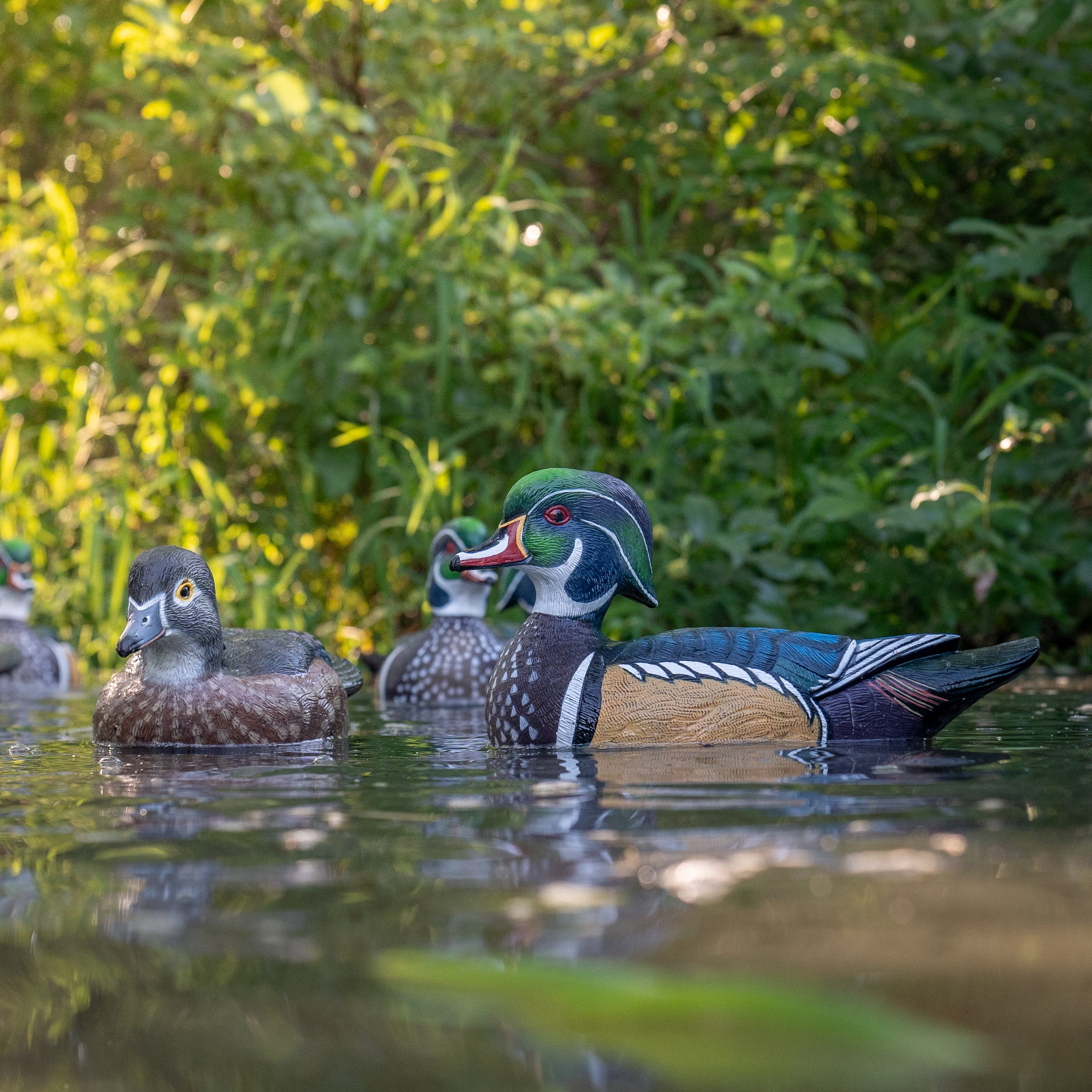 Dive Deep: The 1984 Wood Rat – A Complete And Fascinating Guide - aveq1h5