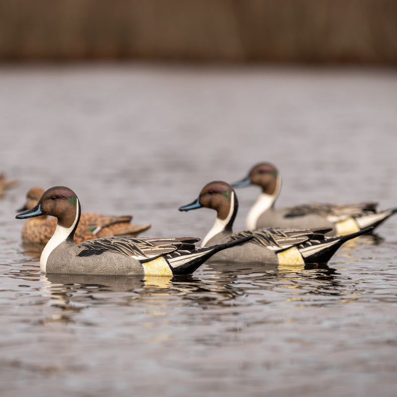 Pintail Floaters Floaters 6 pack