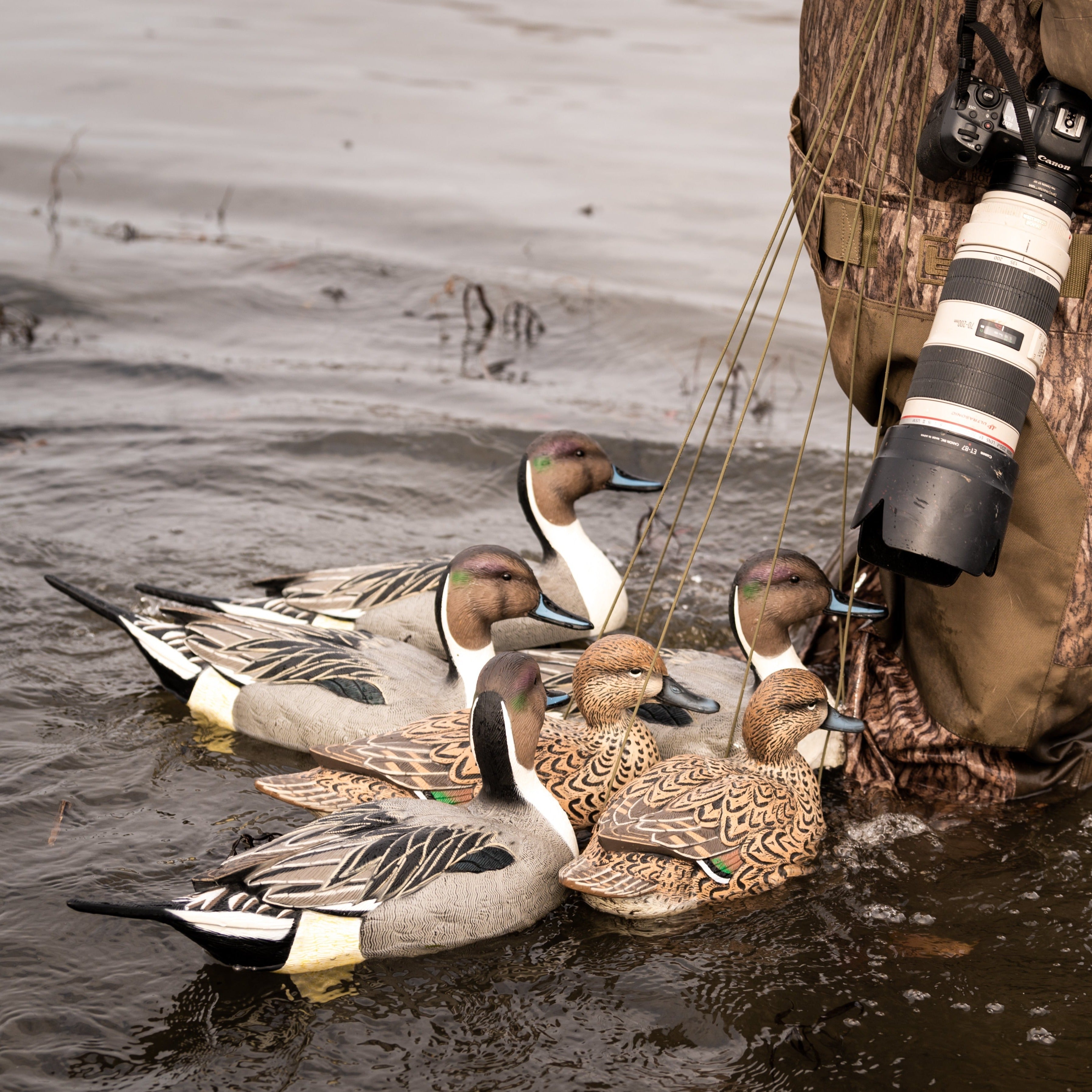 Pintail Floaters Floaters