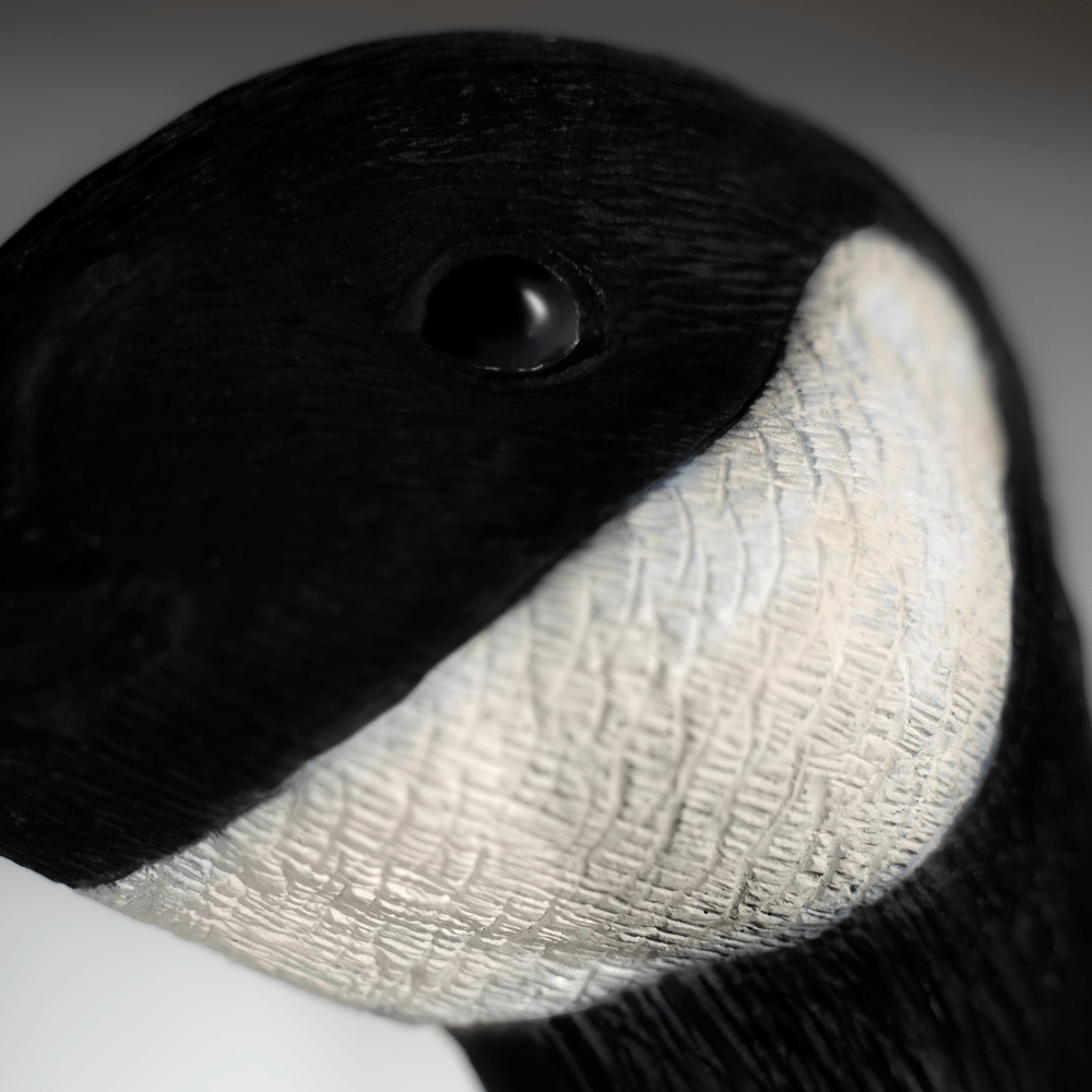 DB Canada Goose Full Bodies Geese Decoys Dive Bomb Industries