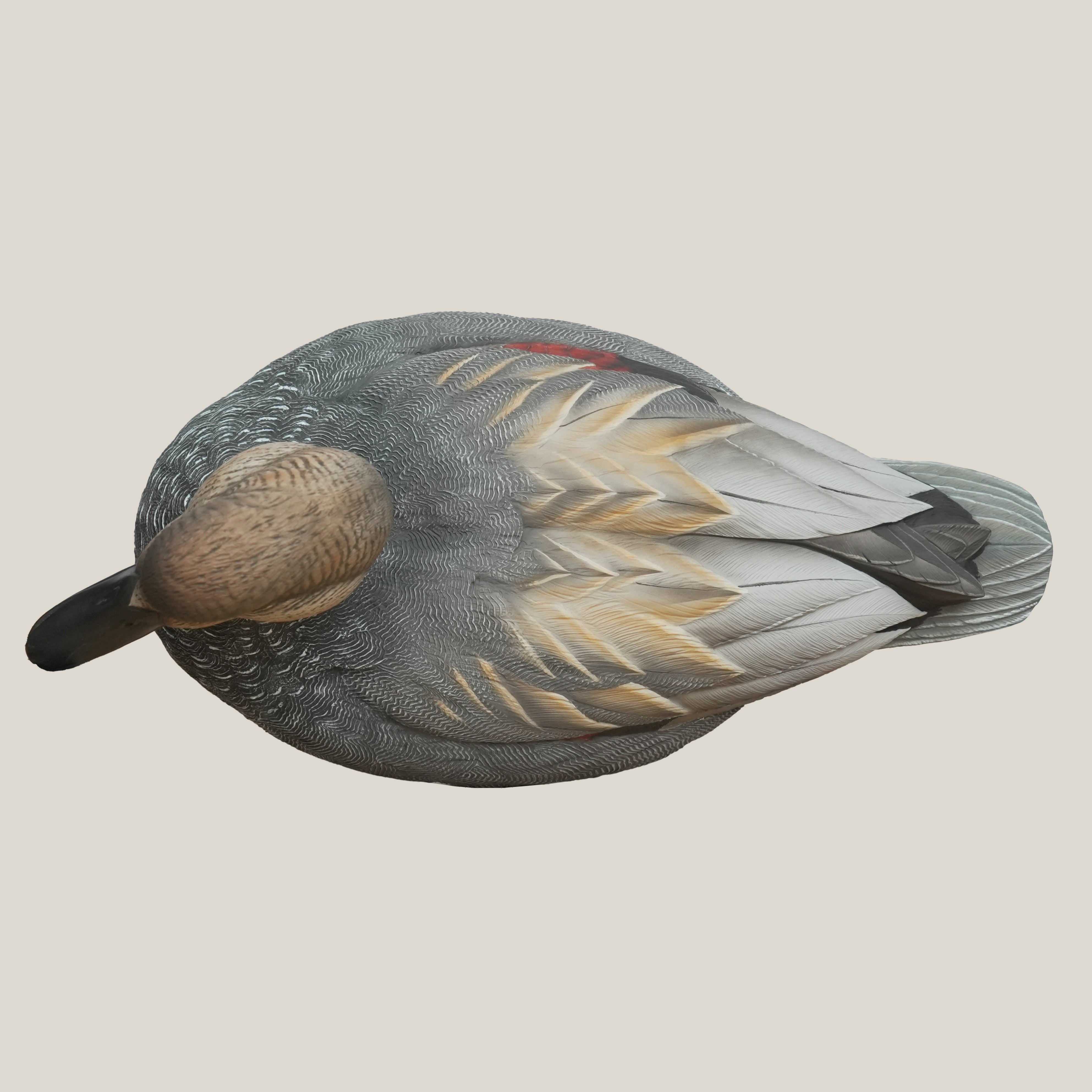 Gadwall Floaters Floaters