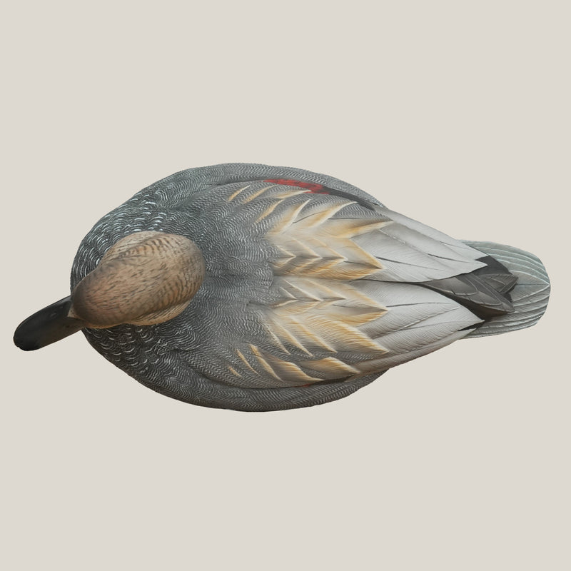 Gadwall Floaters Floaters