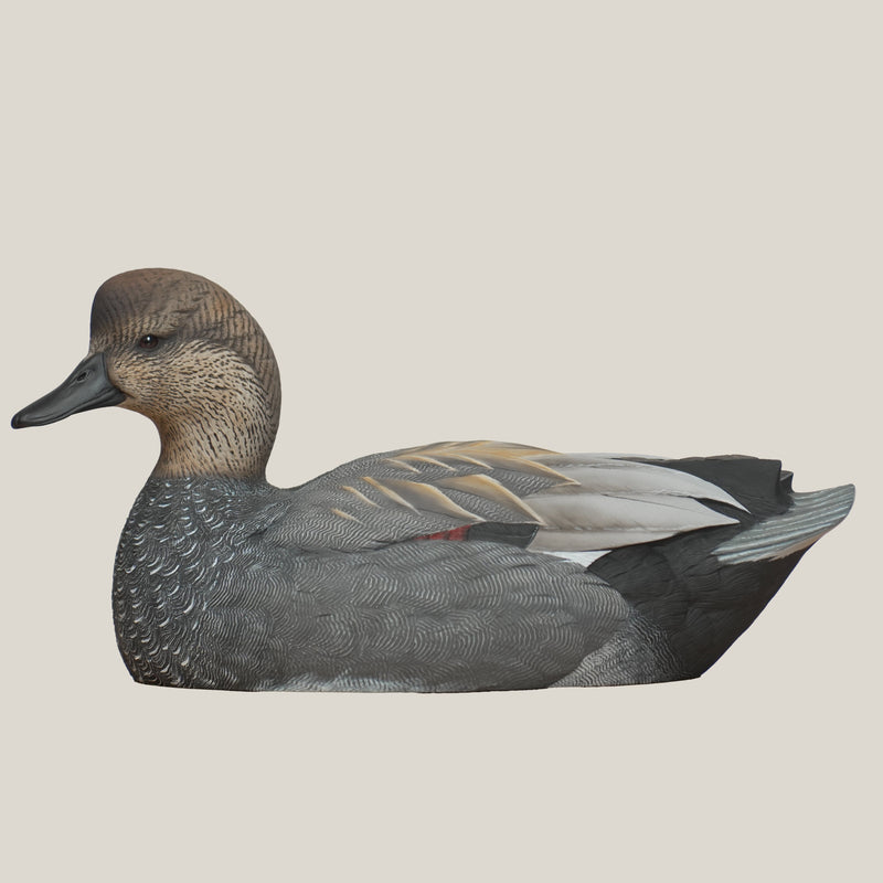 Gadwall Floaters Floaters 6 pack