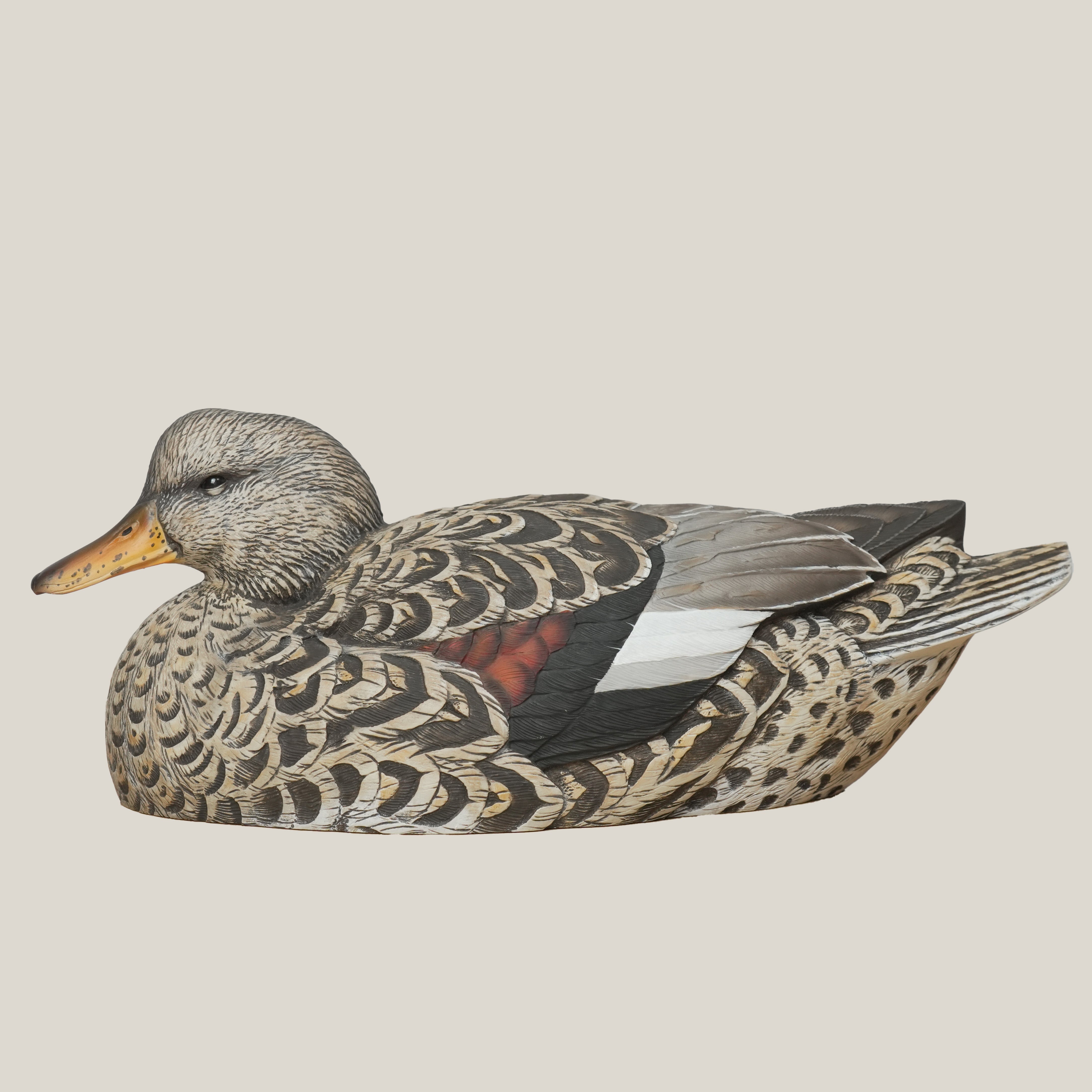 Gadwall Floaters Floaters