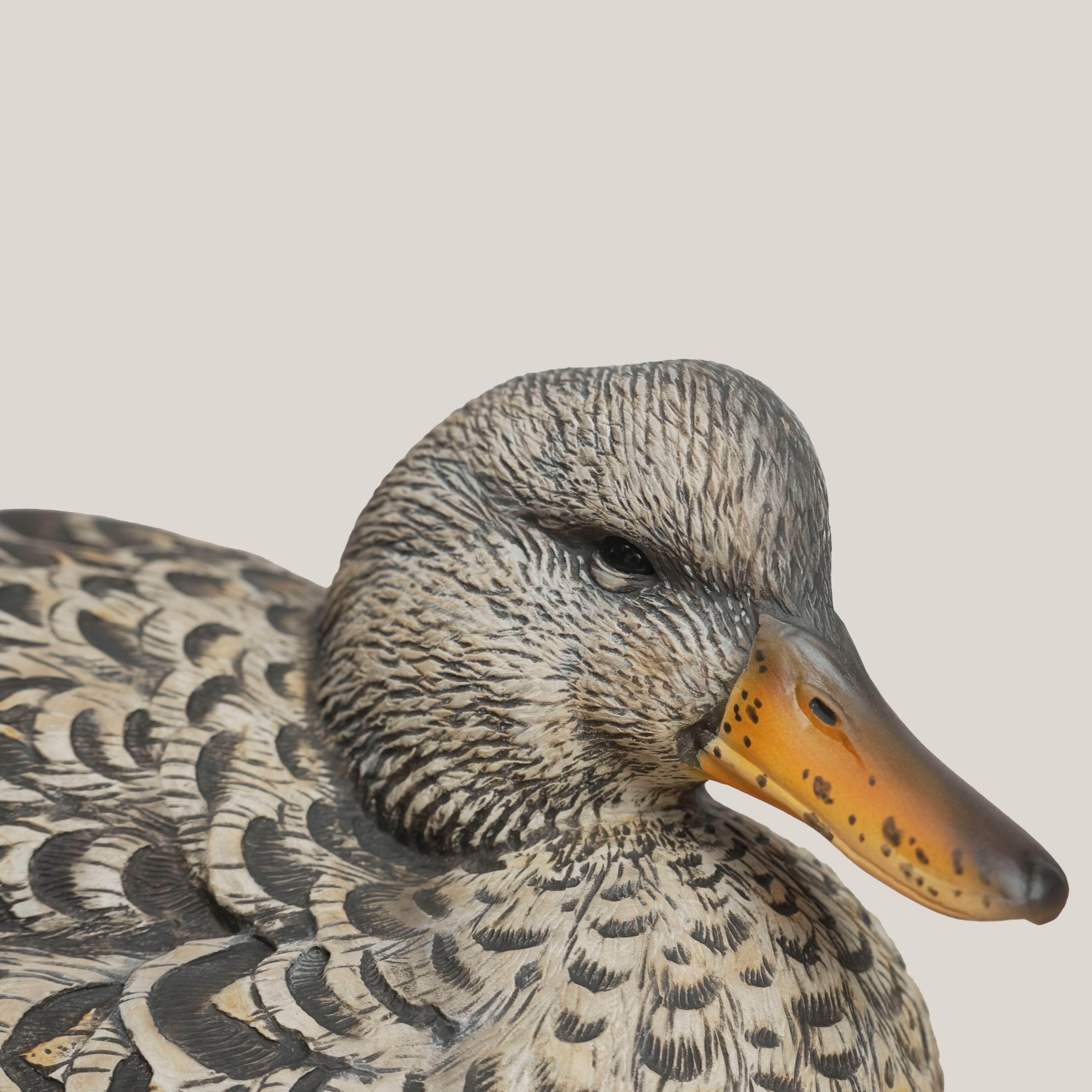 Gadwall Floaters Floaters