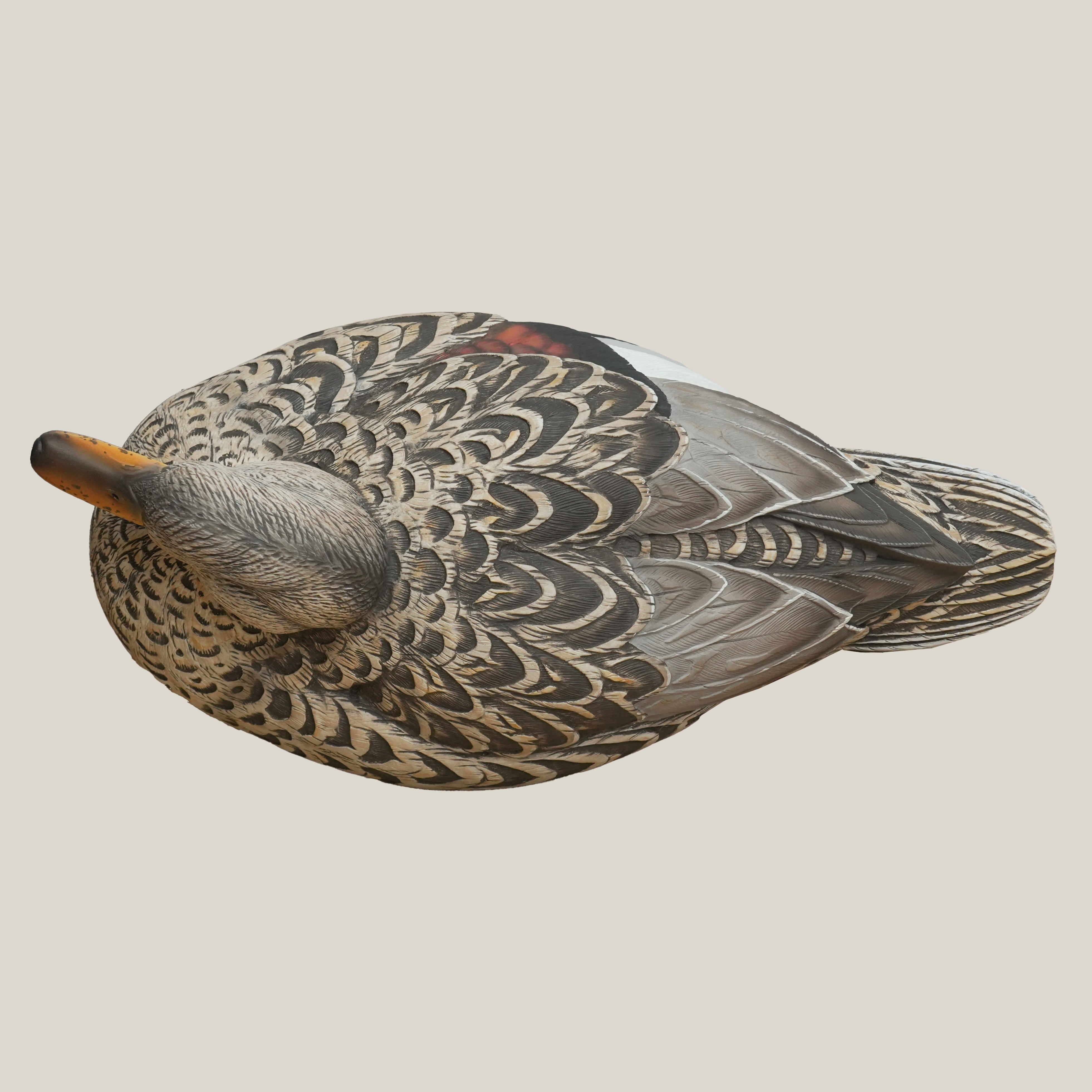 Gadwall Floaters Floaters