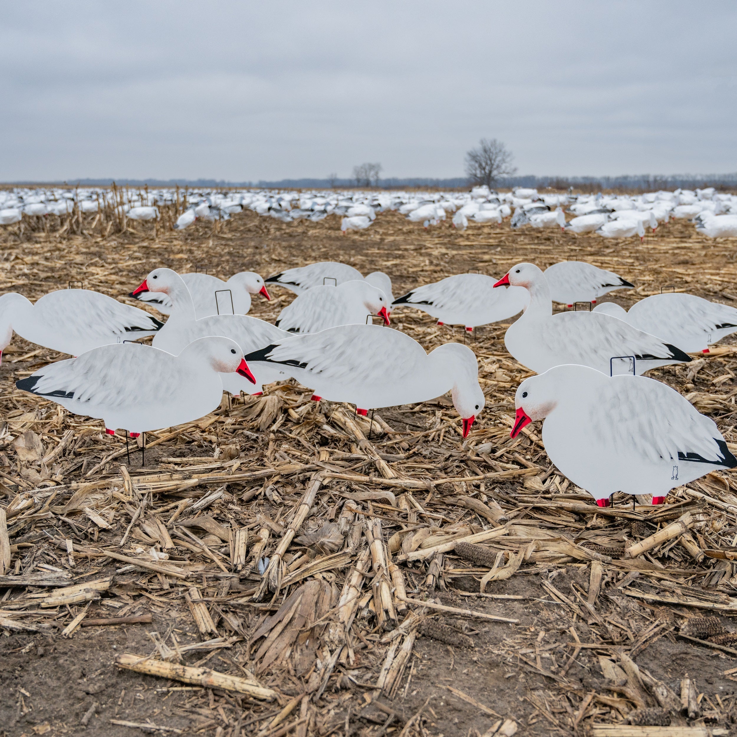 V2FF (Fully Flocked) Snow Silhouette Decoys Dive Bomb Industries