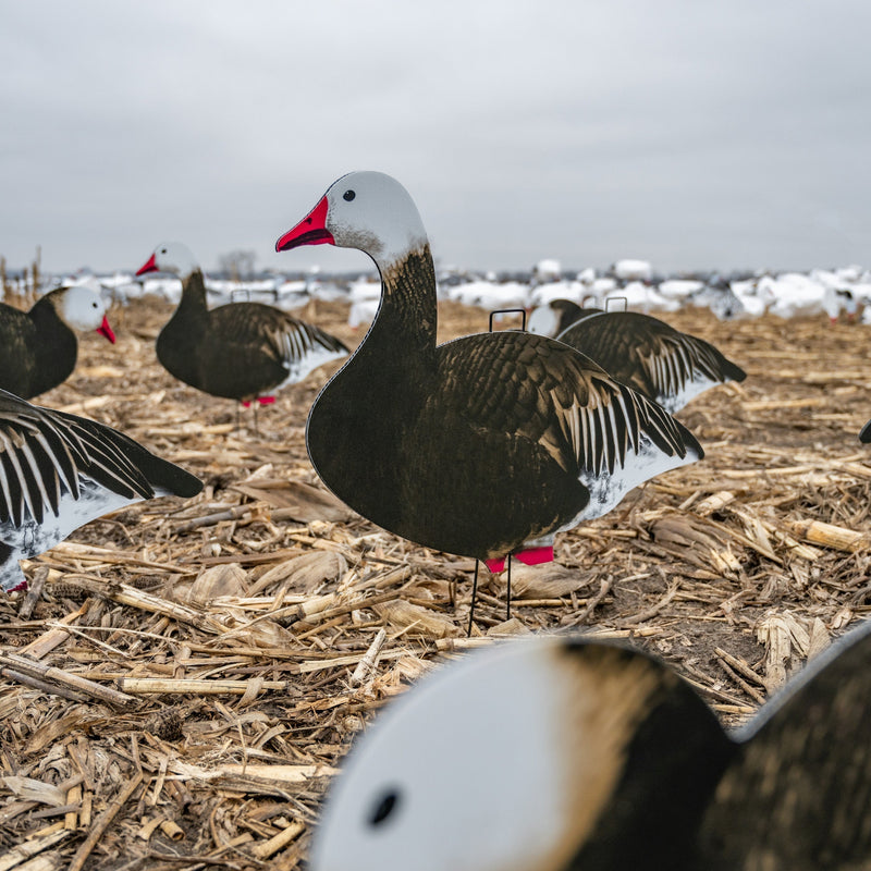 Fully Flocked Blue Goose Silhouettes silhouettes