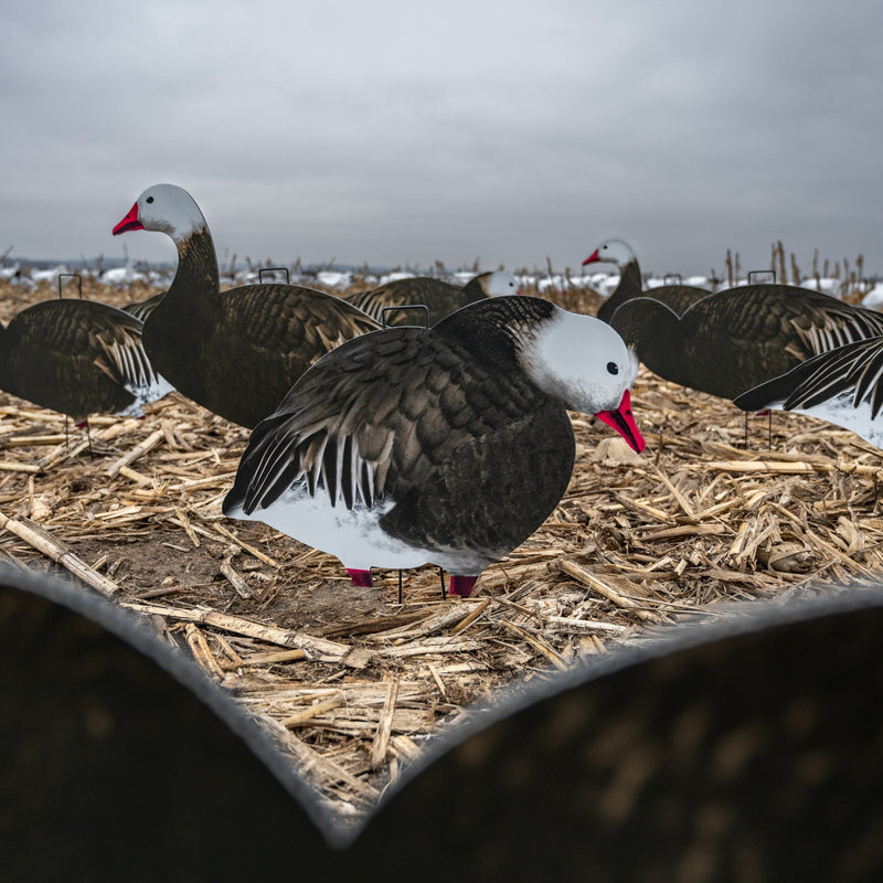 Fully Flocked Blue Goose Silhouettes silhouettes