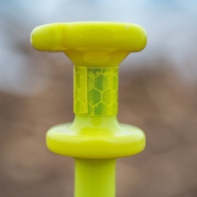 Juvie Goose Full Bodies