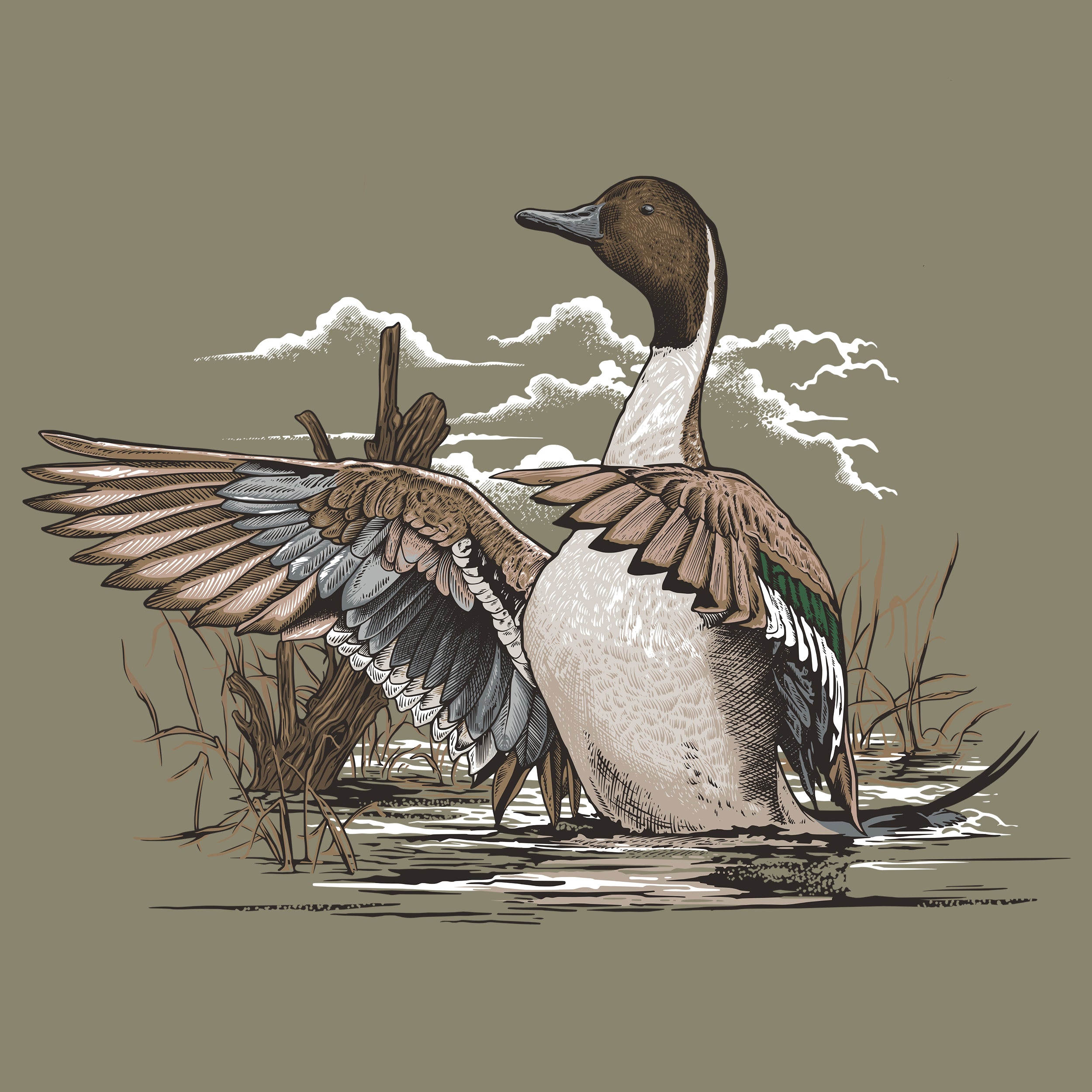 Shirt of the Month Subscription