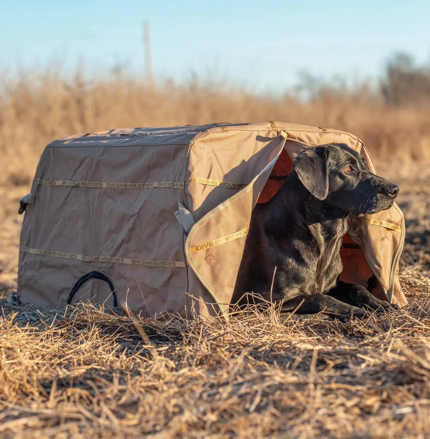 Hunting Dog Blind Portable, Durable Weather-Resistant – Dive