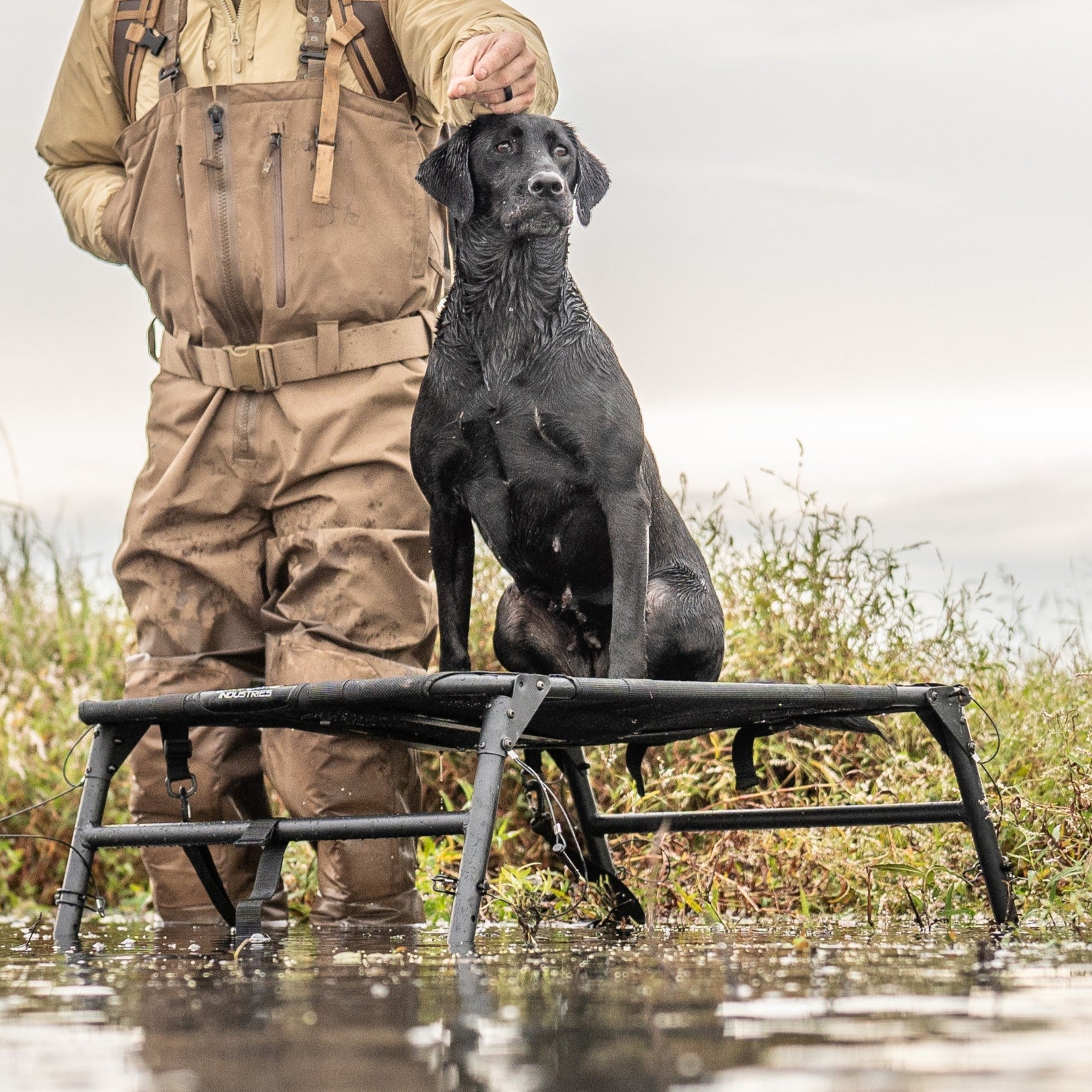 Hunting Dog Stand Stable, Lightweight Waterproof – Dive Bomb