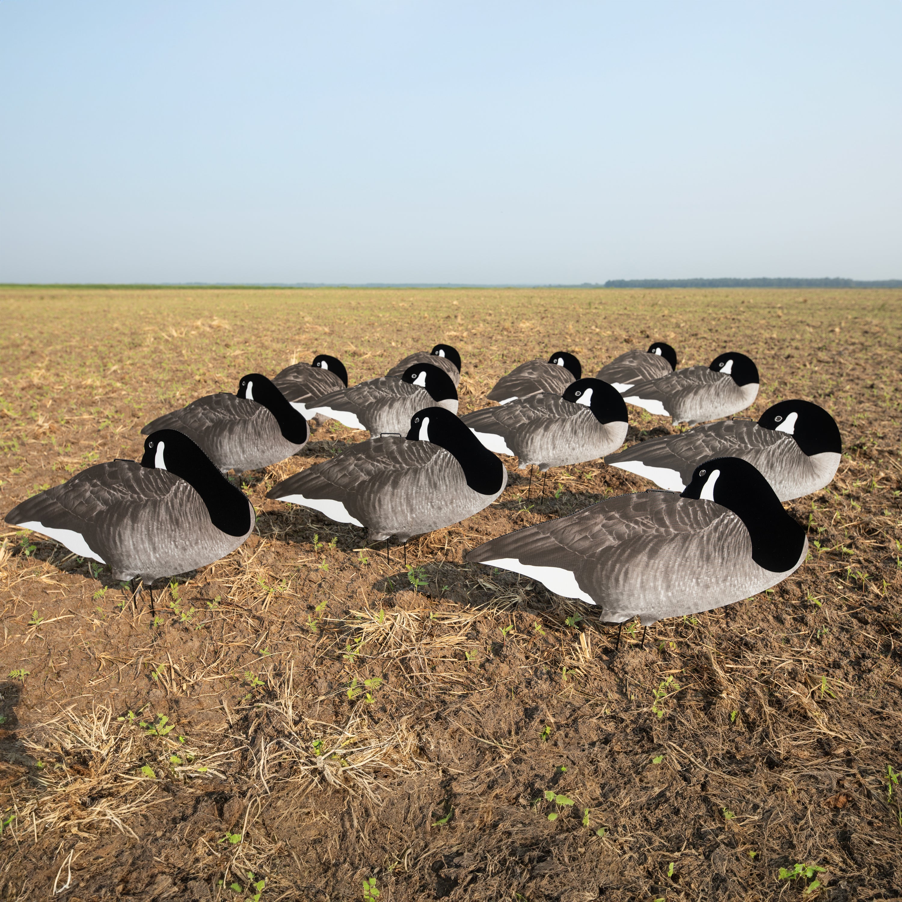 V2F (Flocked) Sleeper Canada Silhouettes Dive Bomb Industries