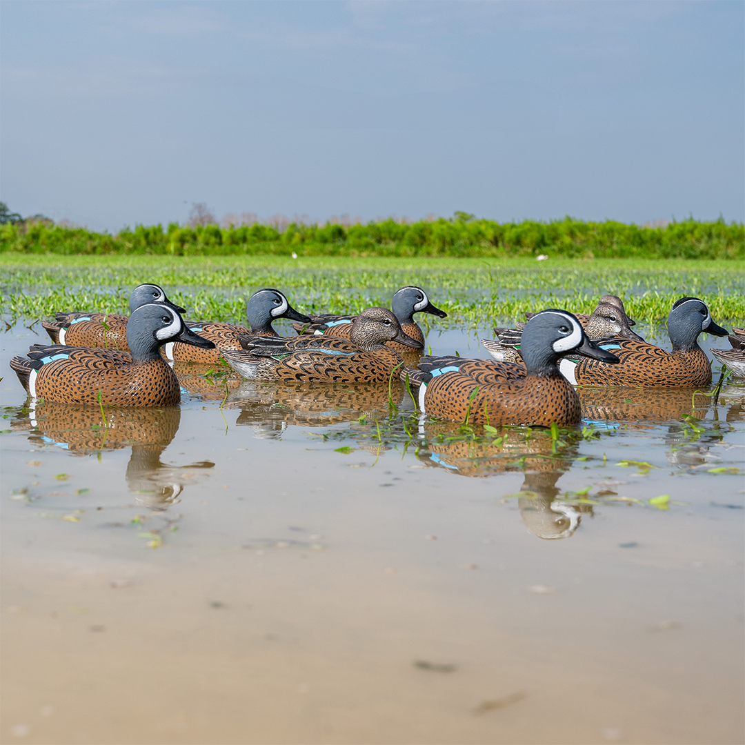 F1 BlueWinged Teal Floaters Teal Decoys Dive Bomb Industries