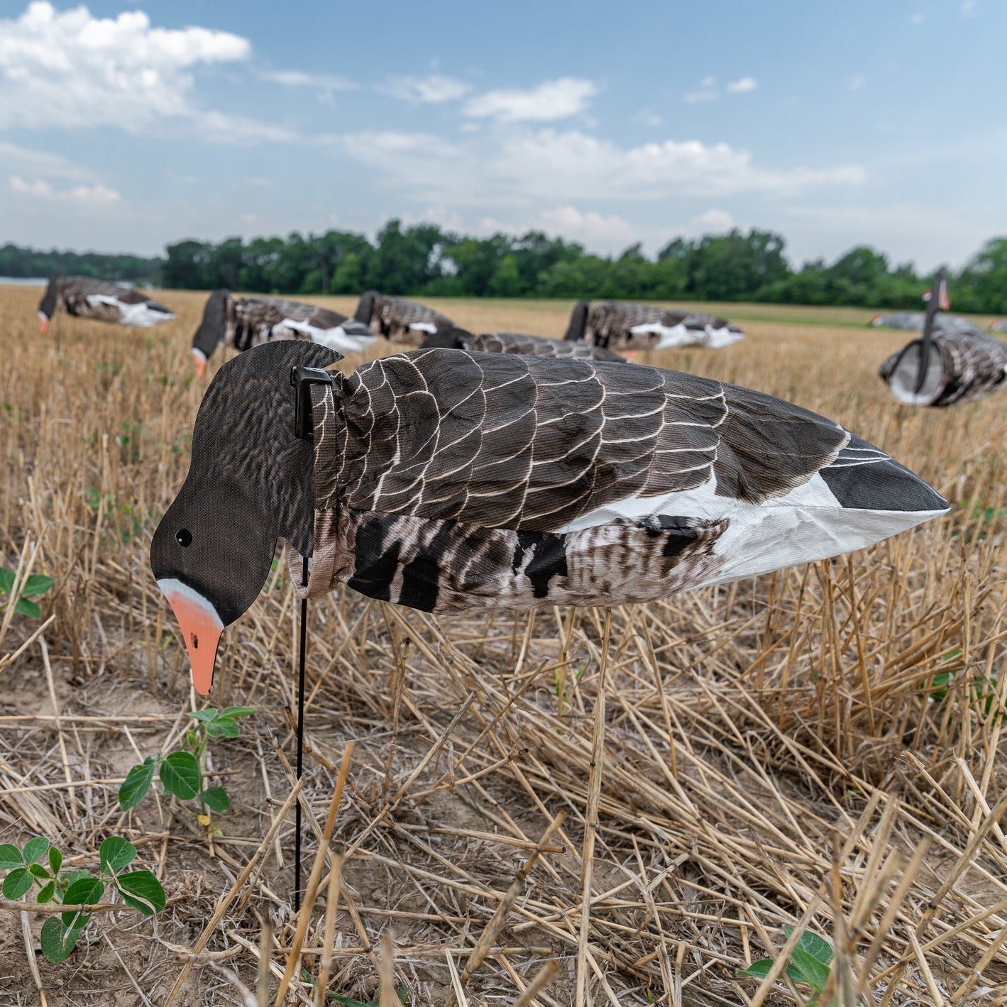 Specklebelly Goose Socks socks