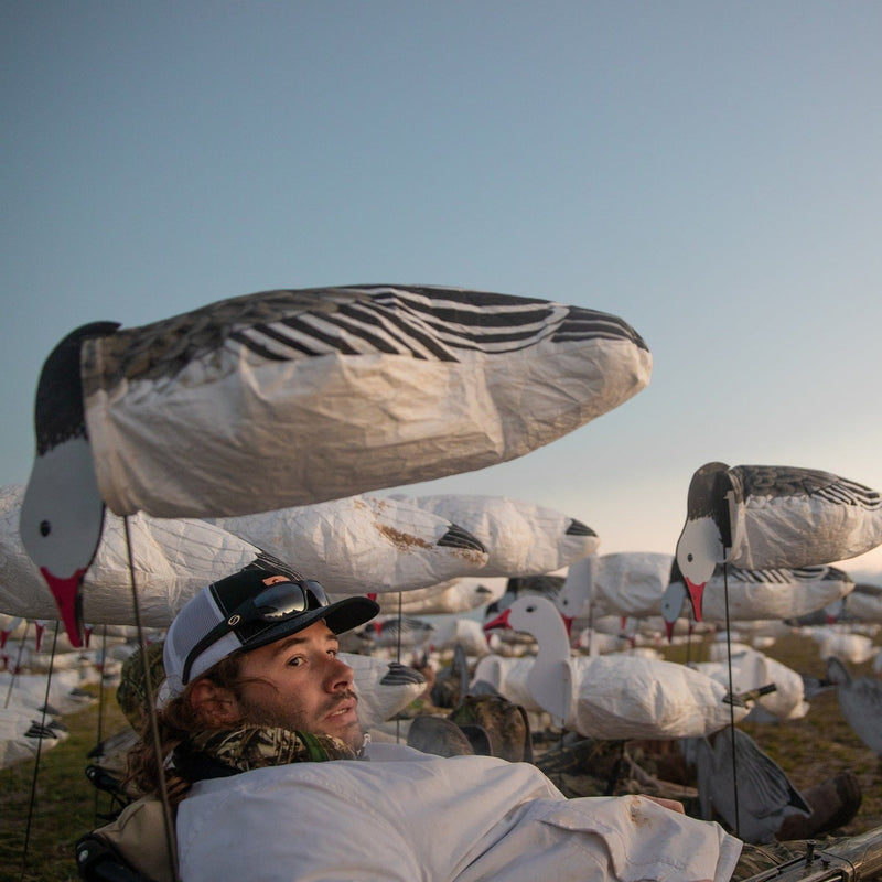 Tall Blue Goose Socks socks