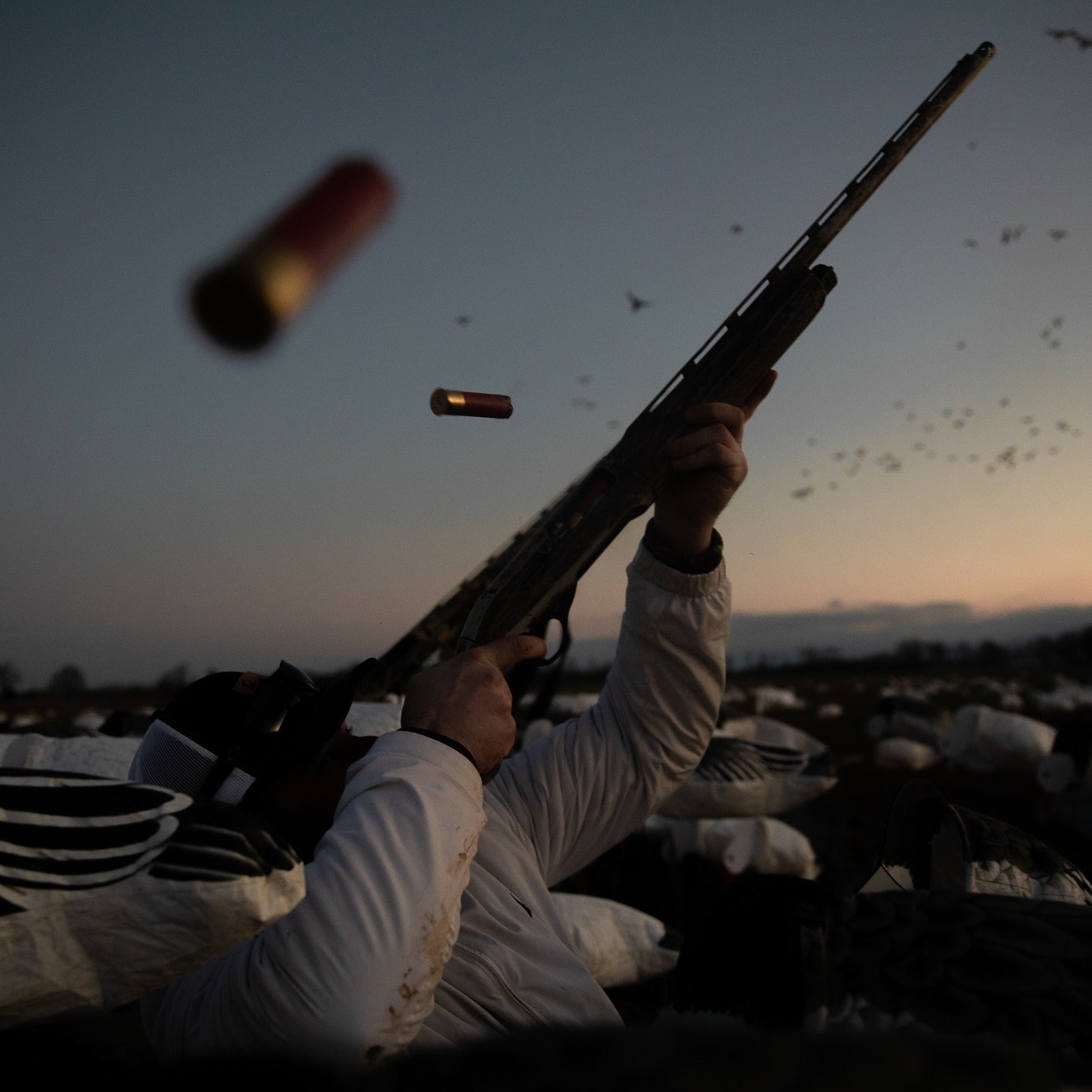 Tall Blue Goose Socks socks