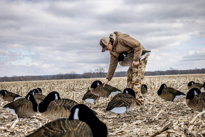 Goose Decoys