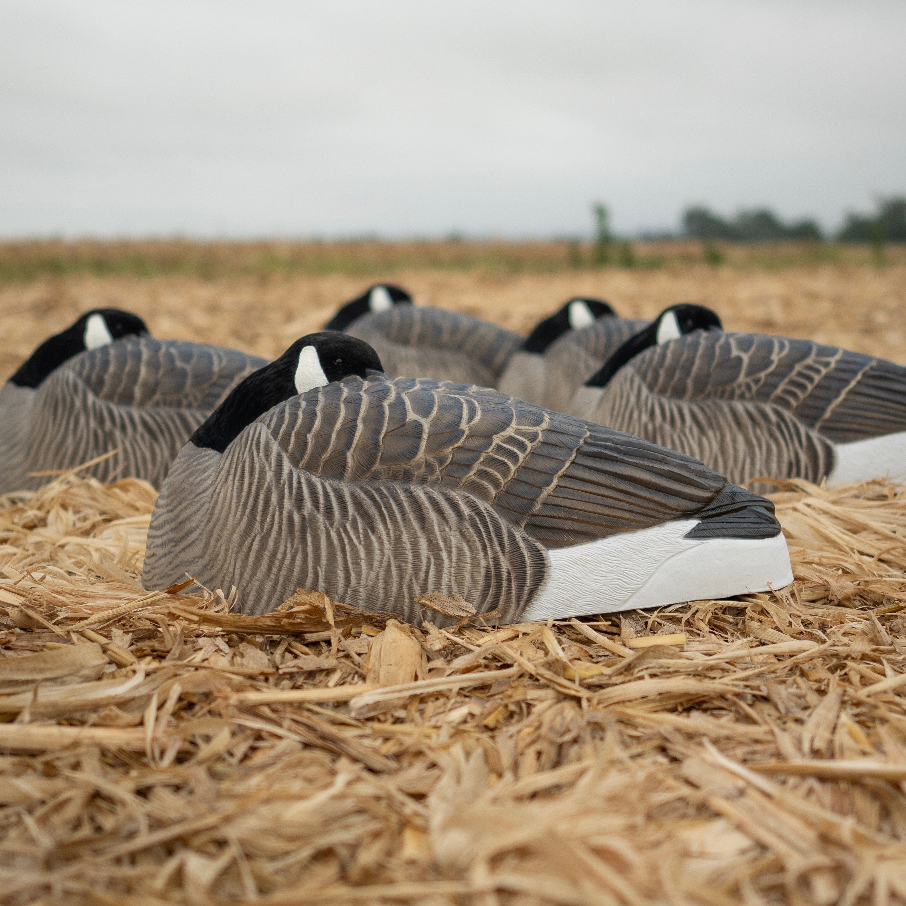 Cyber Monday 2025 – Page 2 – Dive Bomb Industries