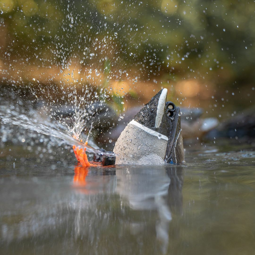 Motion Decoys