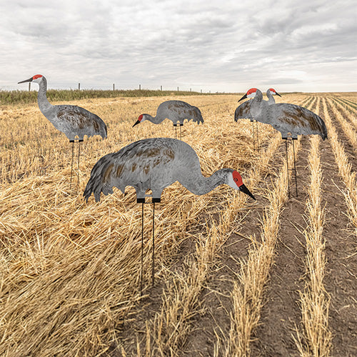 Crane & Pigeon Decoys