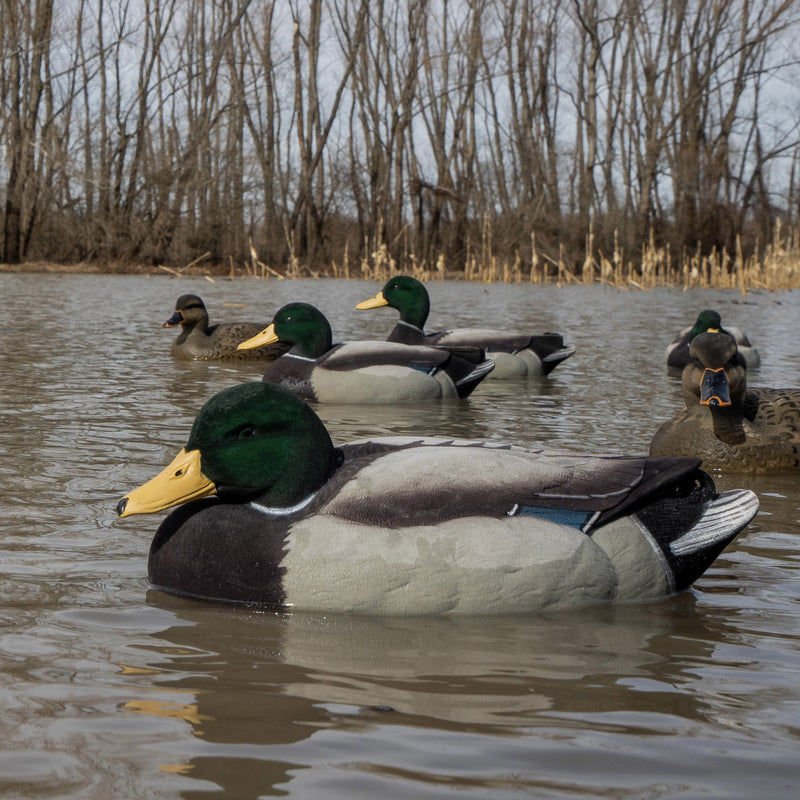 Decoys