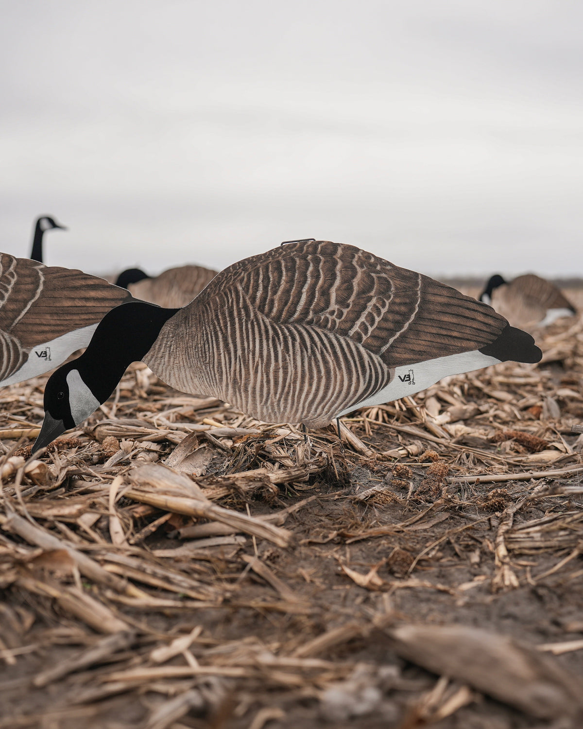 Decoys Sale