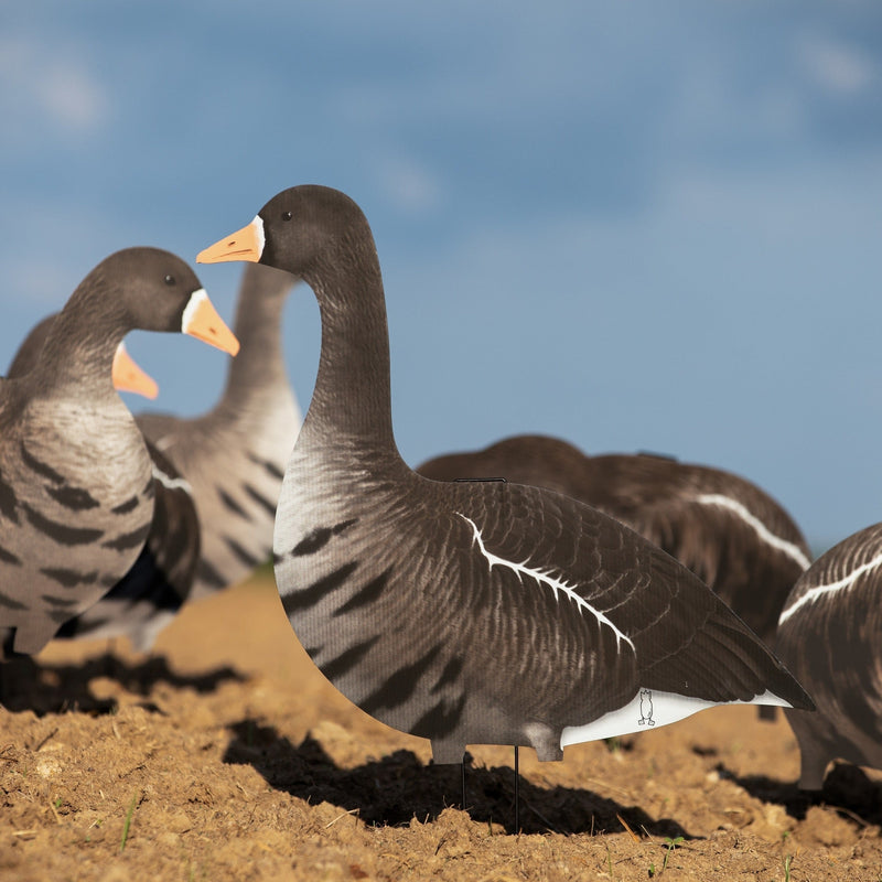 Alternate Specklebelly Goose Silhouettes silhouettes