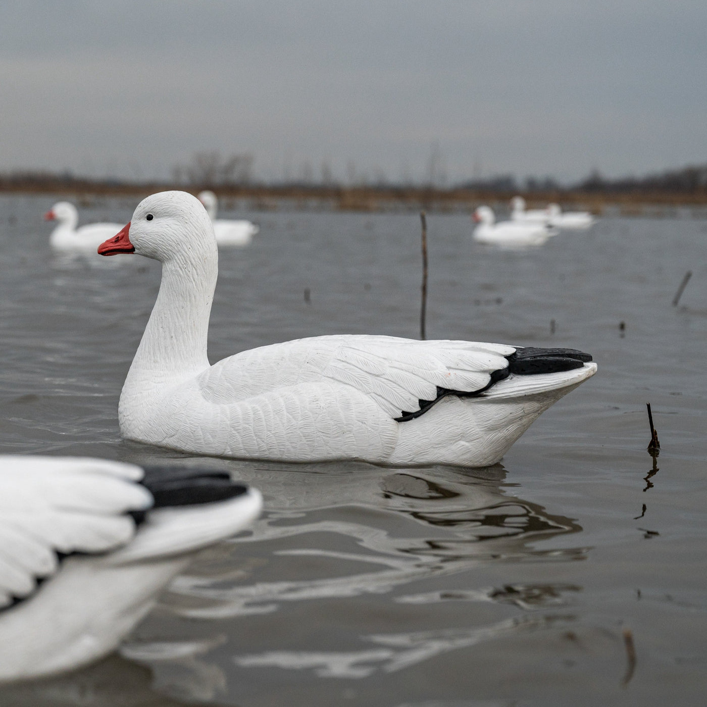 F1 Snow Goose Floaters
