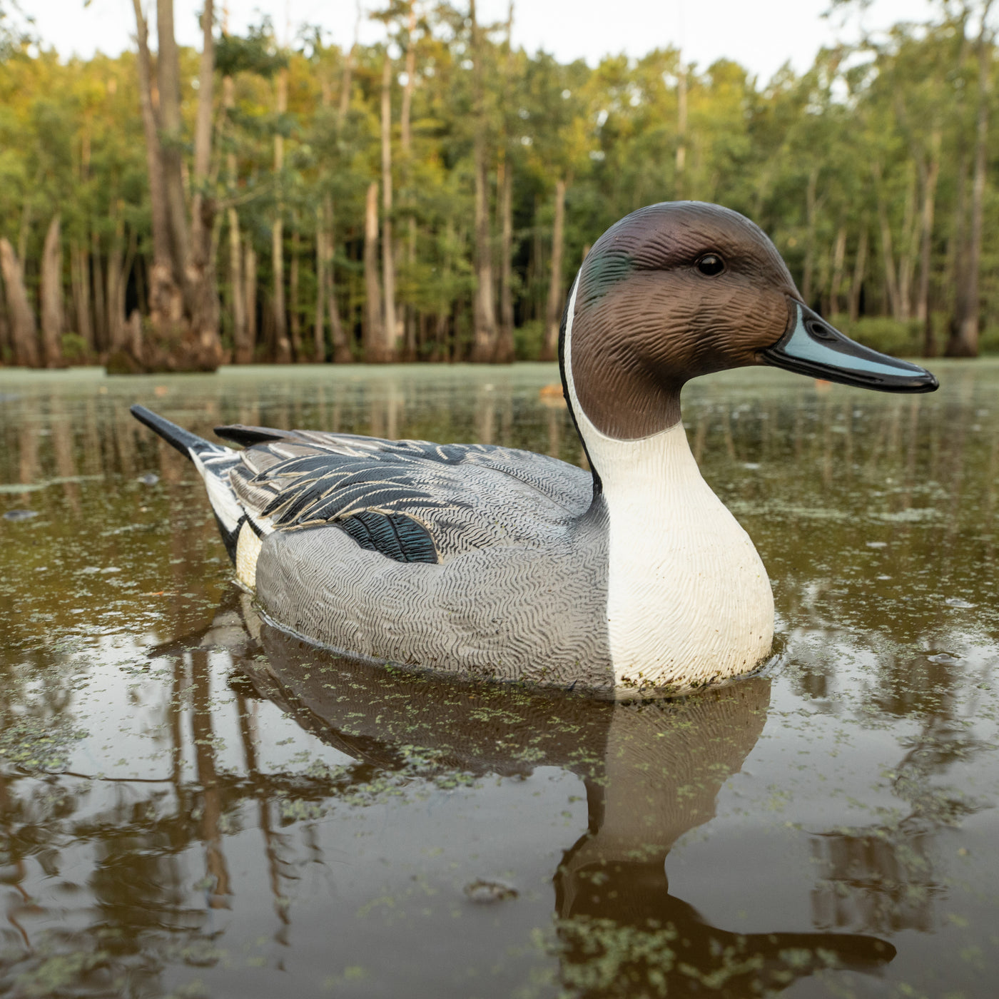 F1 Pintail Floaters