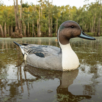 F1 Pintail Floaters