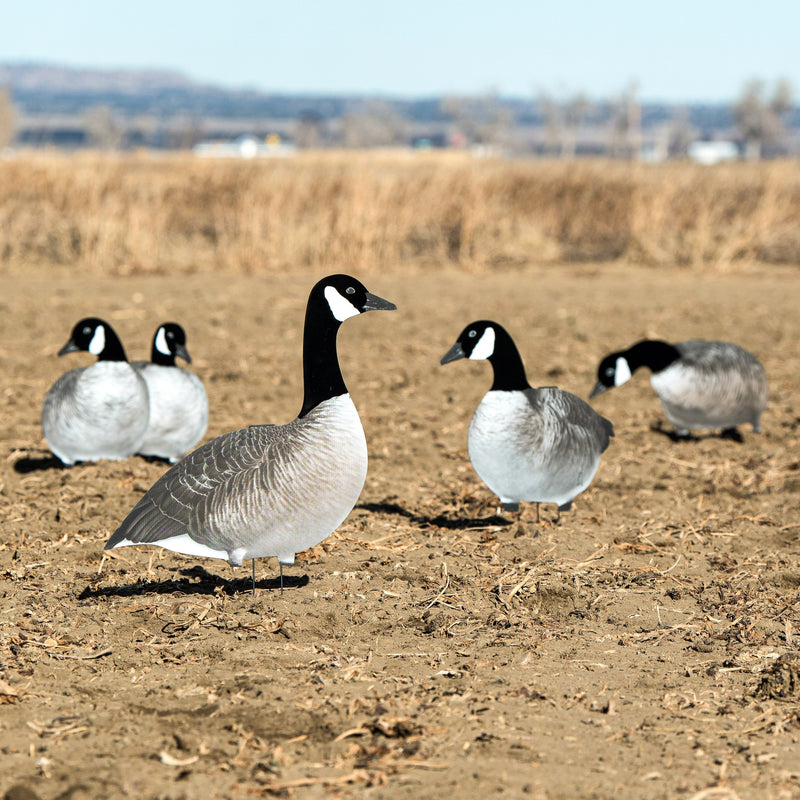 Alternate Flocked Canada Goose Silhouettes silhouettes