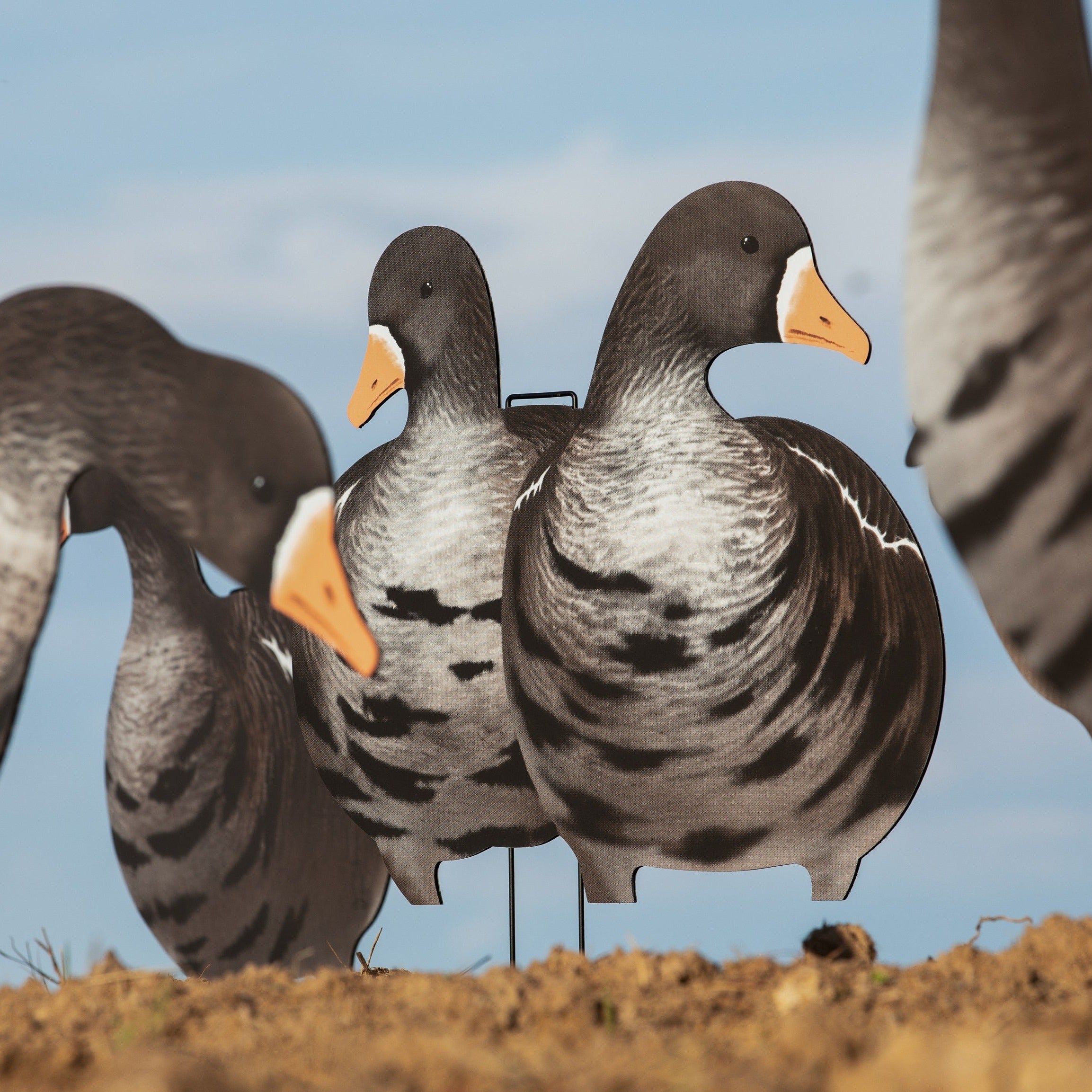 Alternate Specklebelly Goose Silhouettes silhouettes
