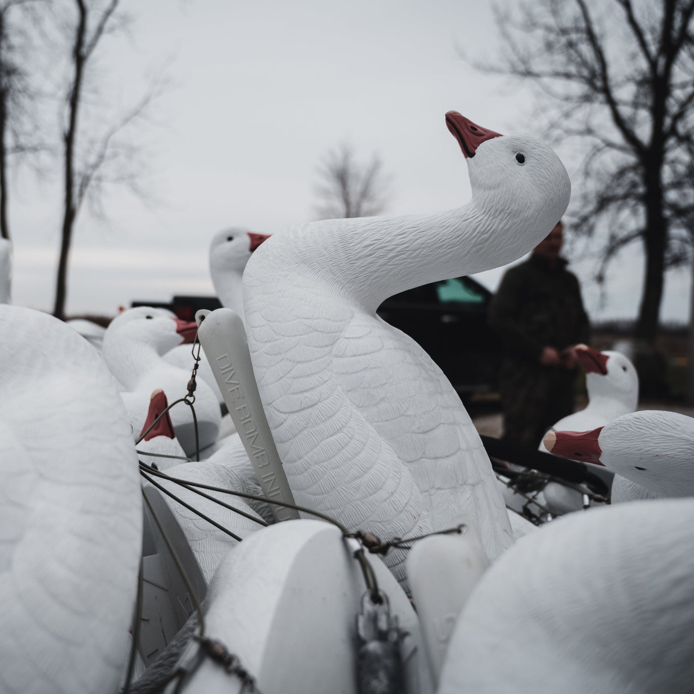 F1 Snow Goose Floaters