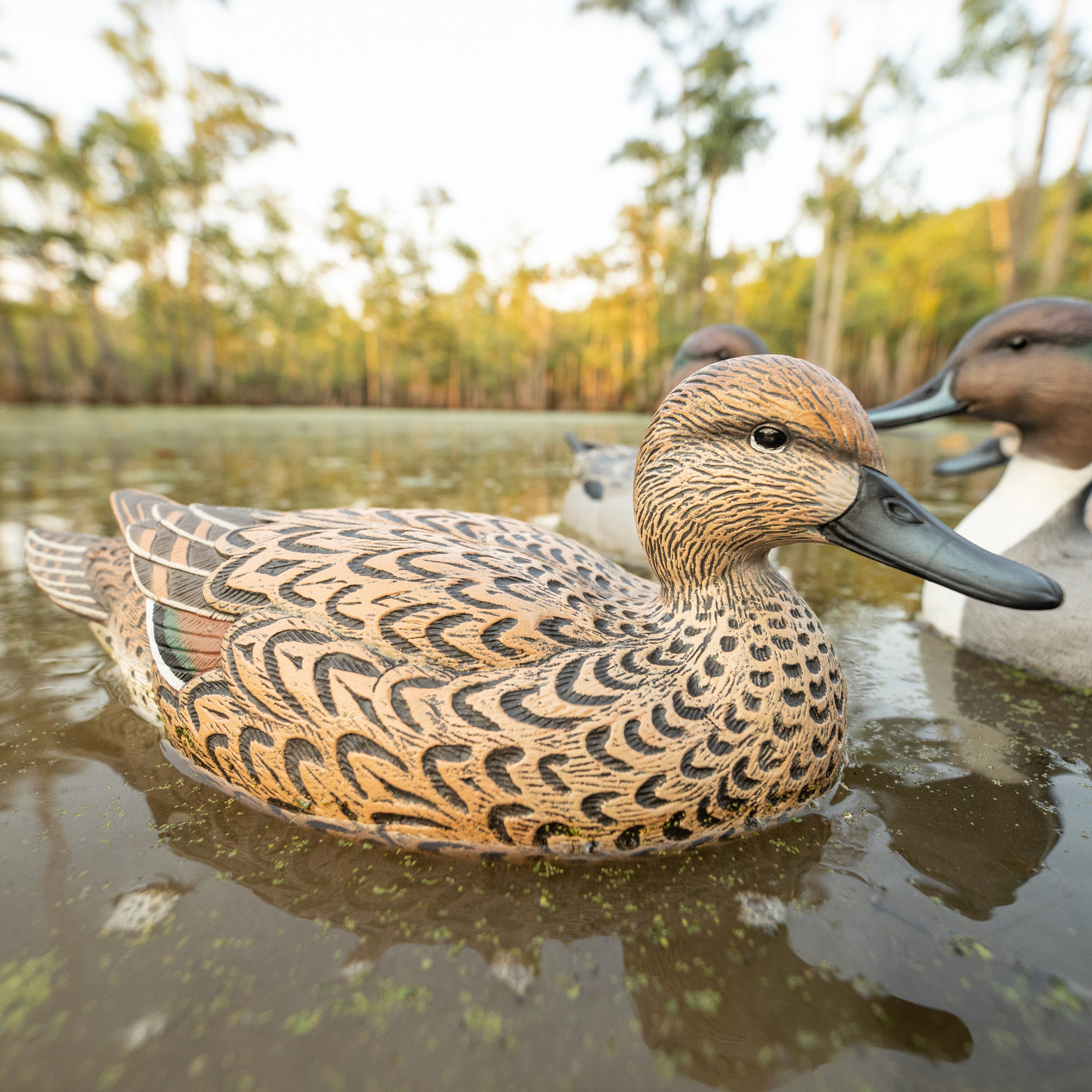 F1 Pintail Floaters