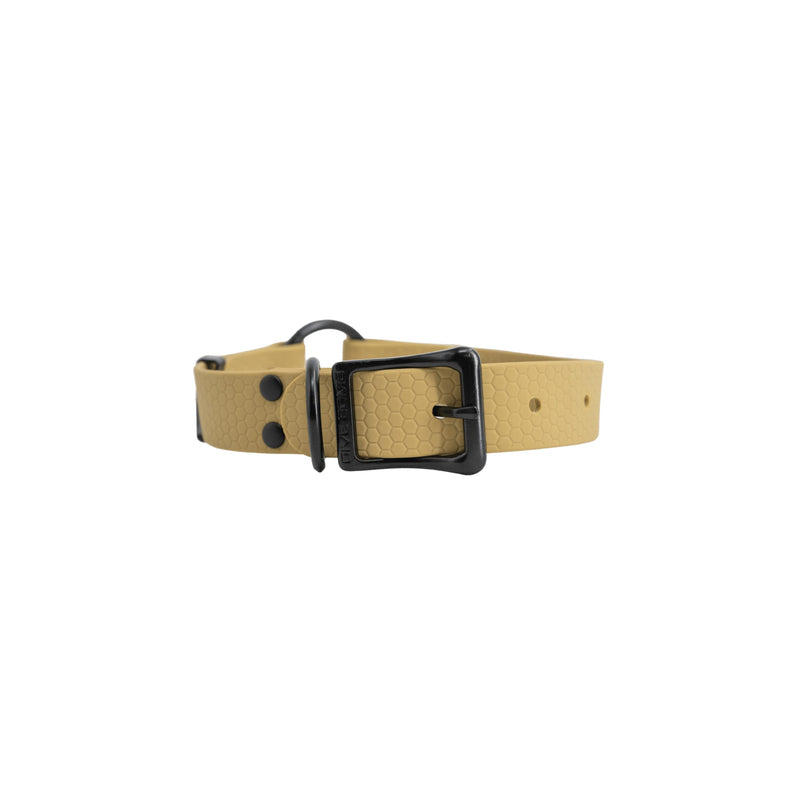 Dog Collar