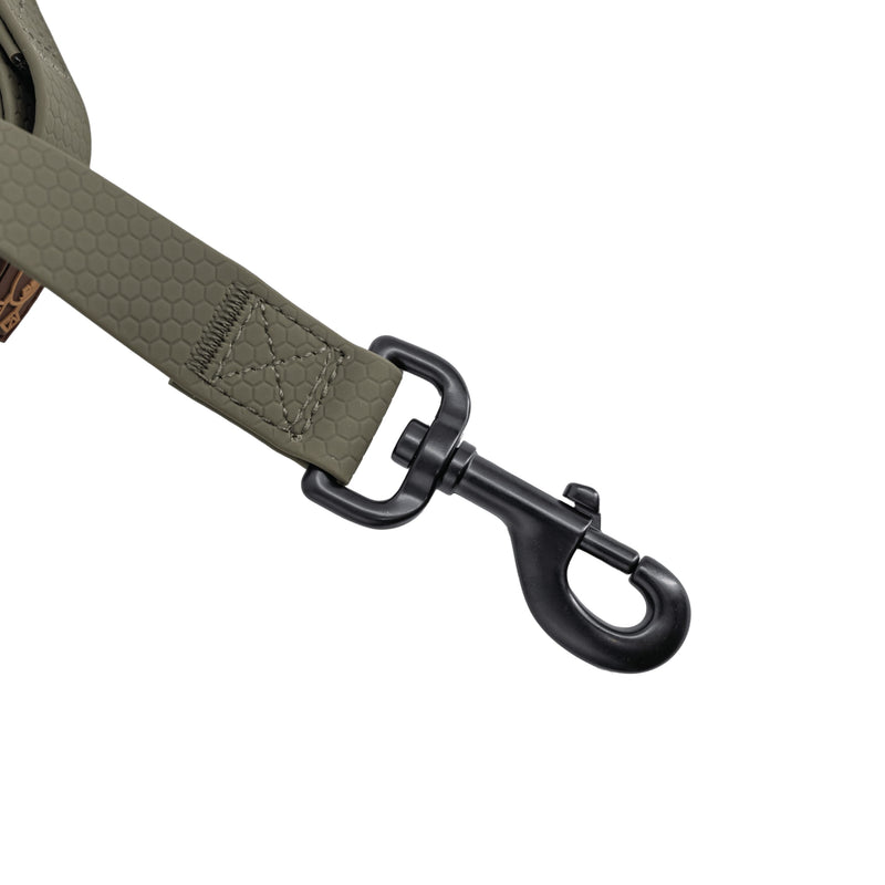 Dog Leash