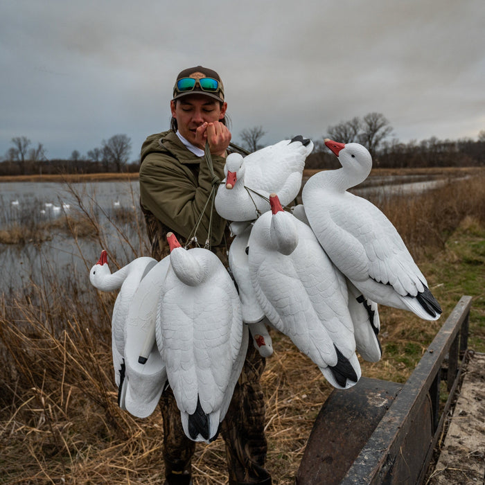 Snow Goose Floaters | Lifelike & Durable Waterfowl Decoys – Dive Bomb ...